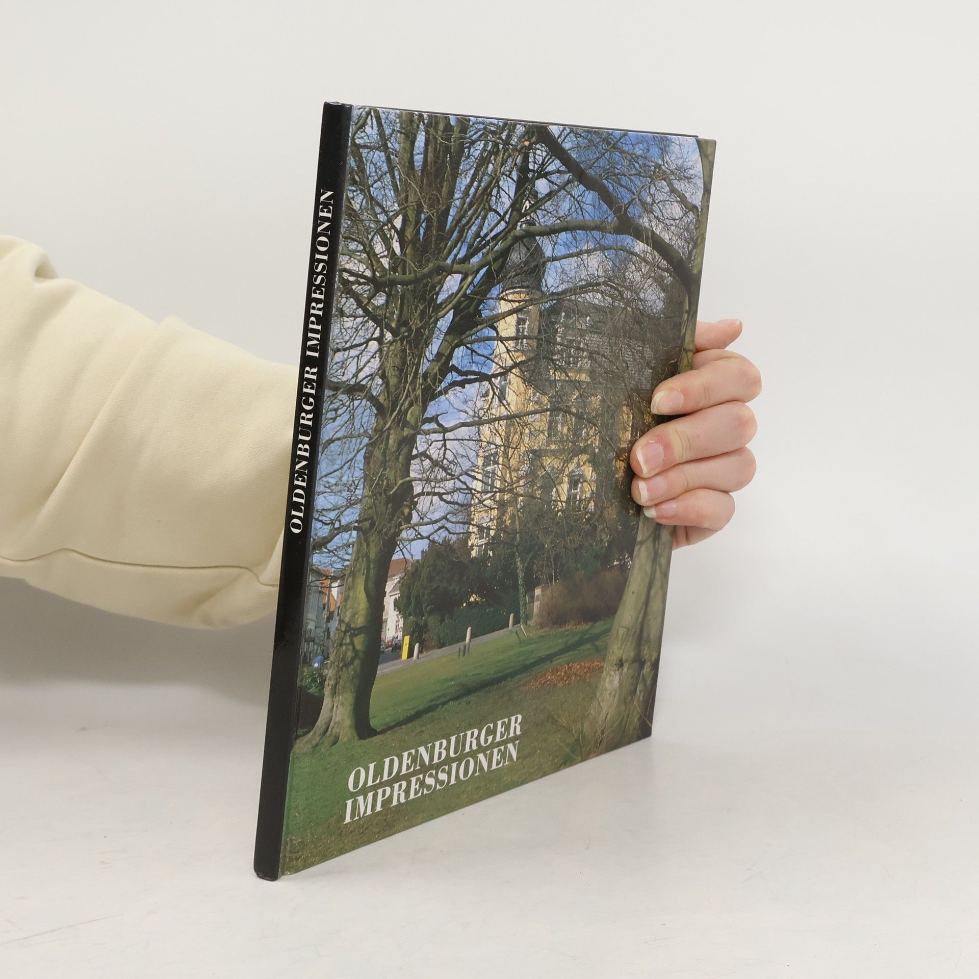 Claus Hammer Oldenburger Impressionen