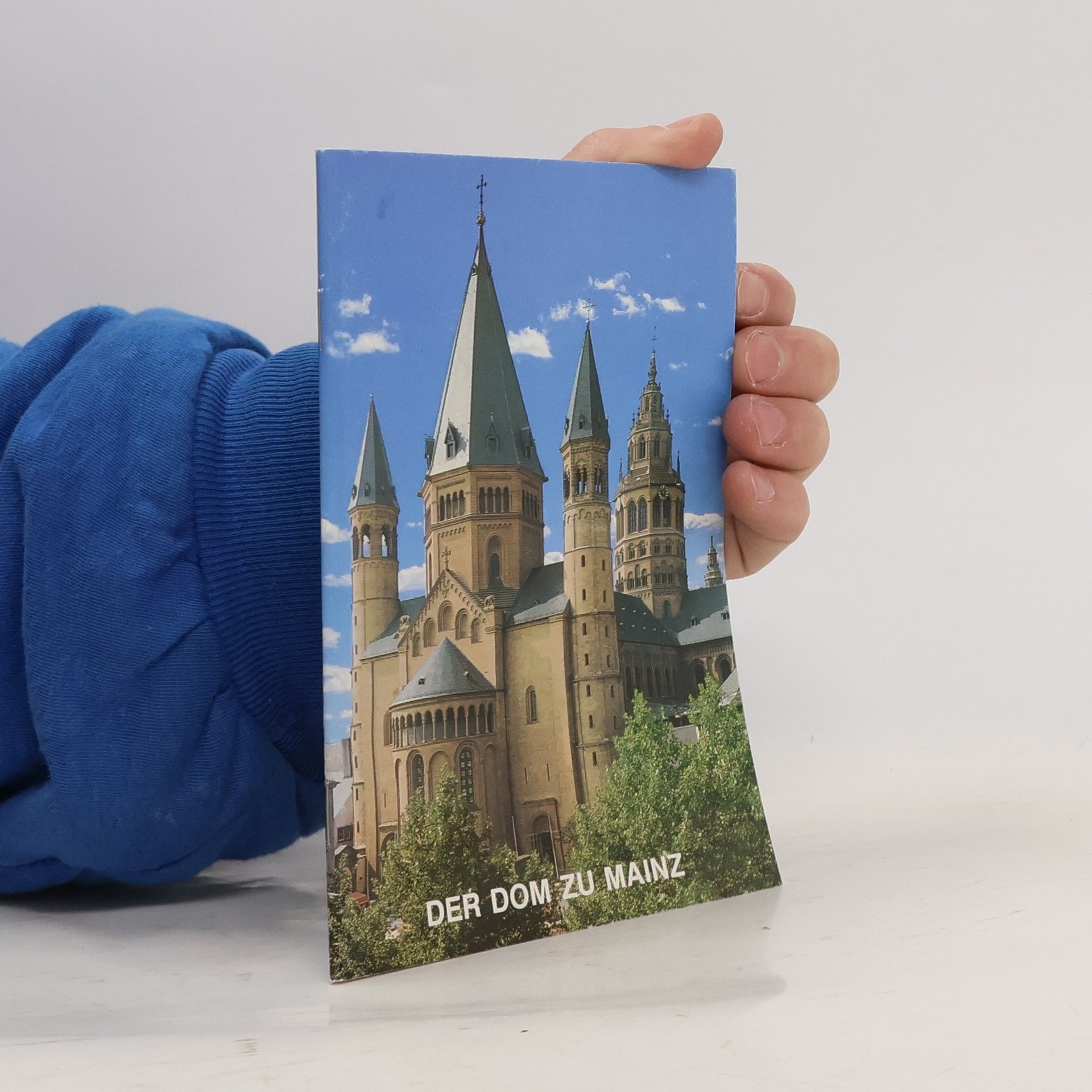 Autorenkollektiv Der Dom zu Mainz