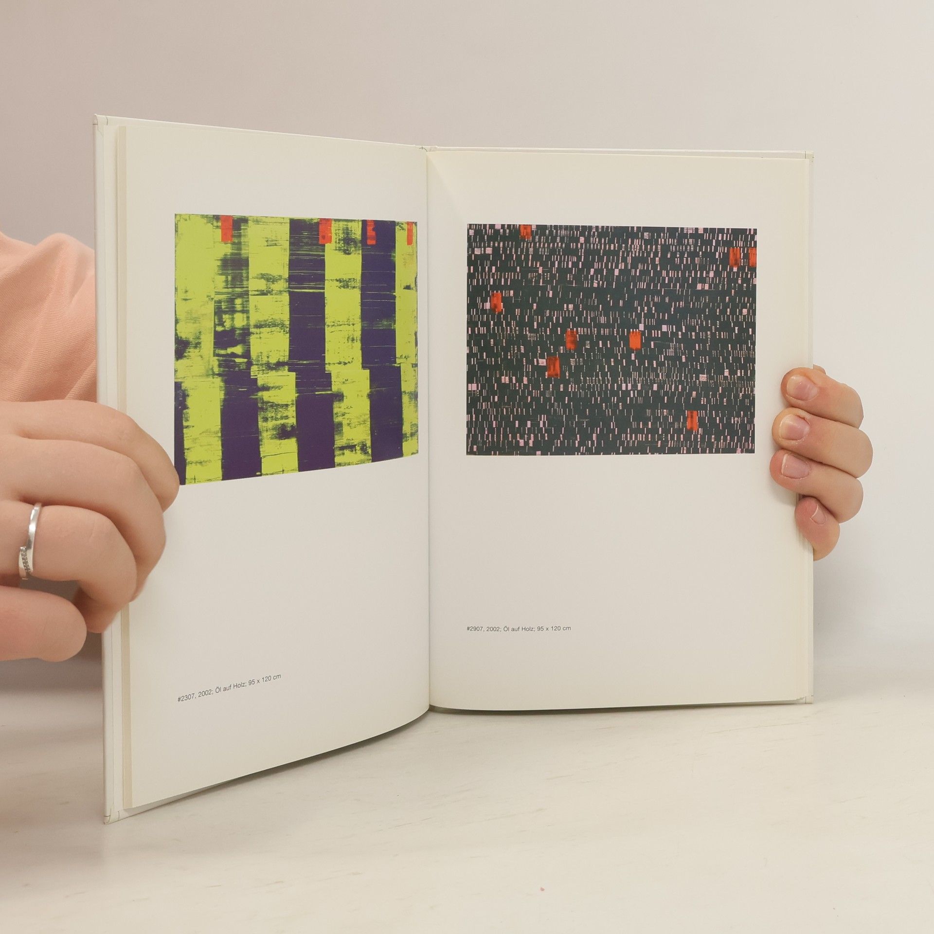 Jan Rieckhoff Transapparatische Bilder