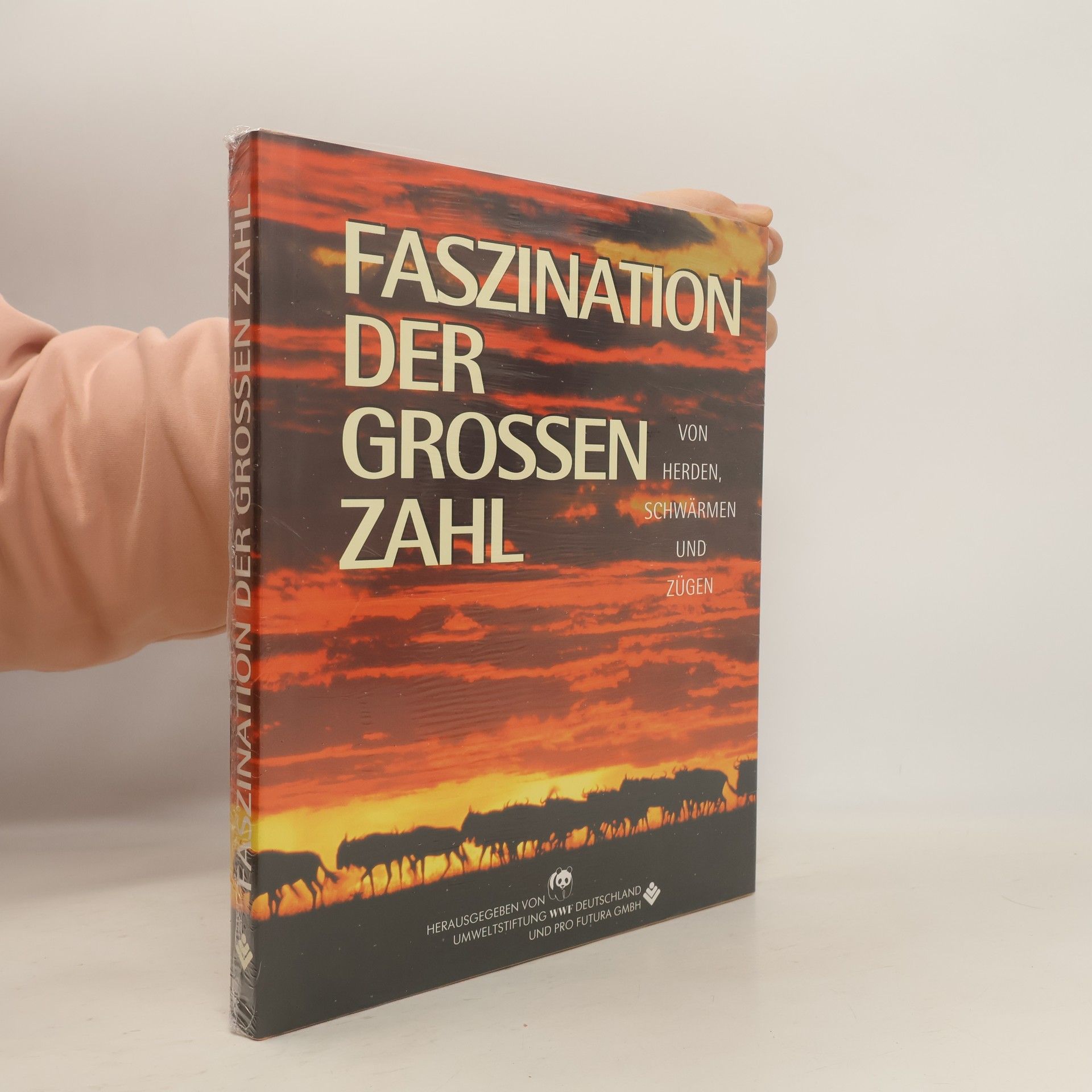 Collectif d'auteurs Faszination der grossen zahl