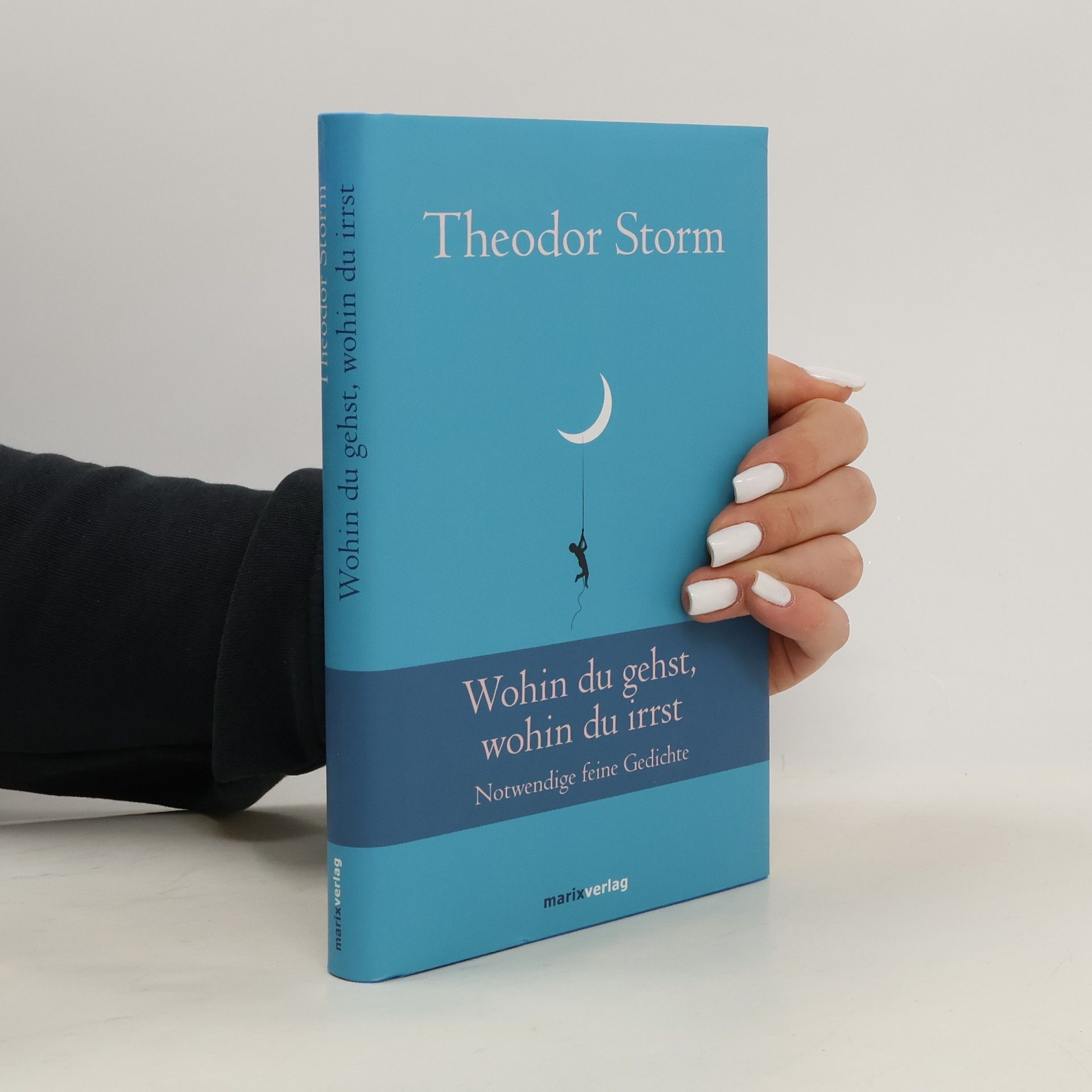 Theodor Storm Wohin du gehst, wohin du irrst
