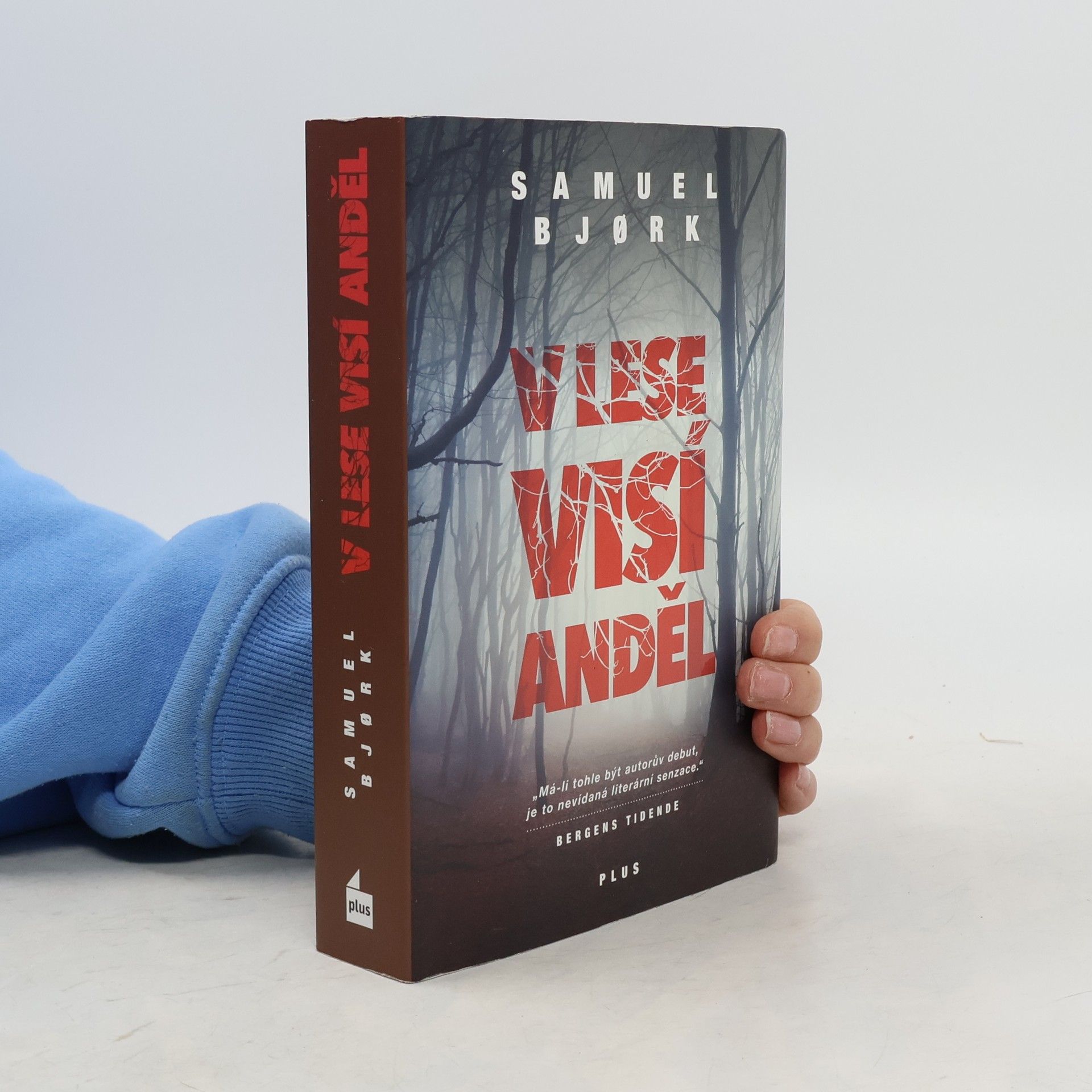 Samuel Bjork V lese visí anděl