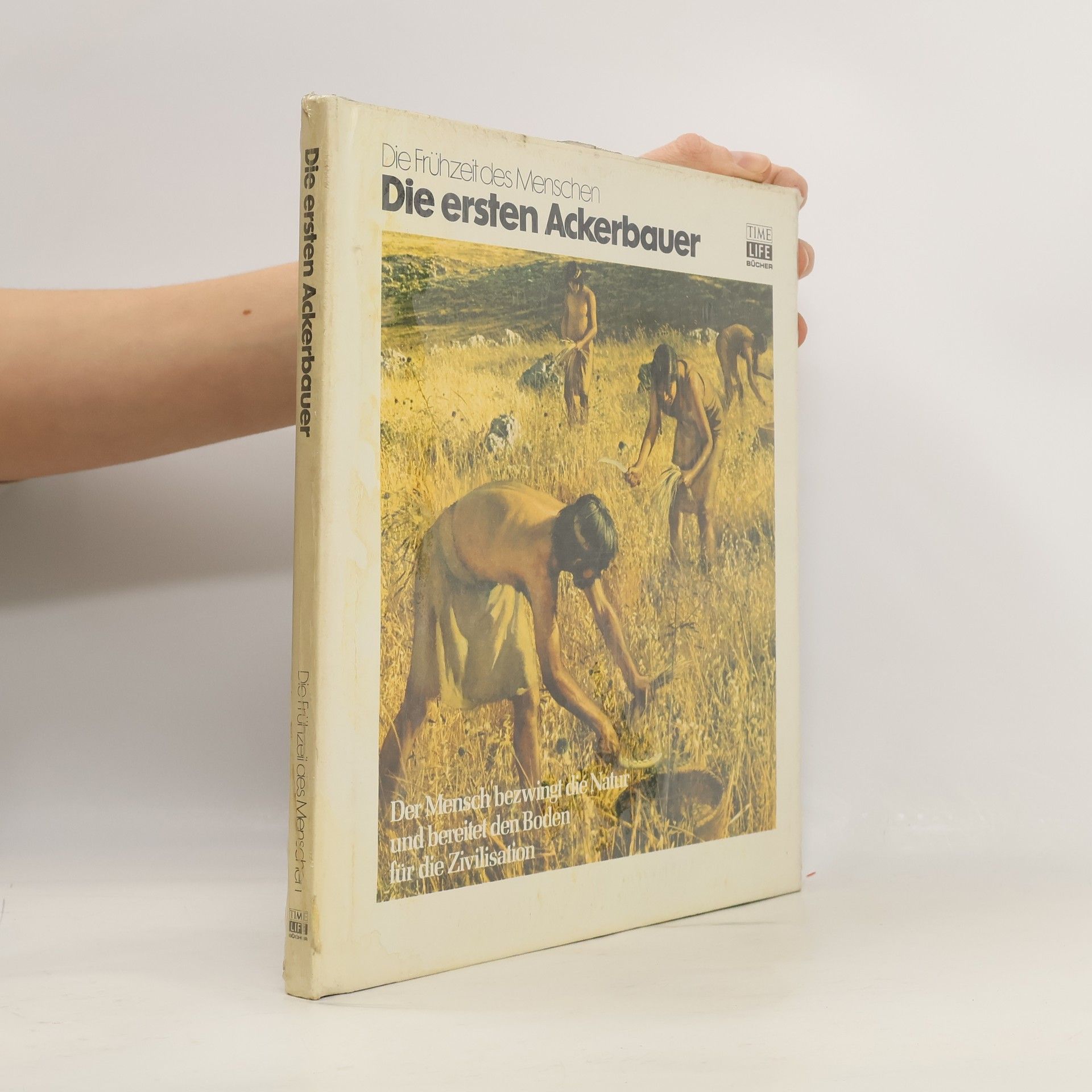 Die ersten Ackerbauer