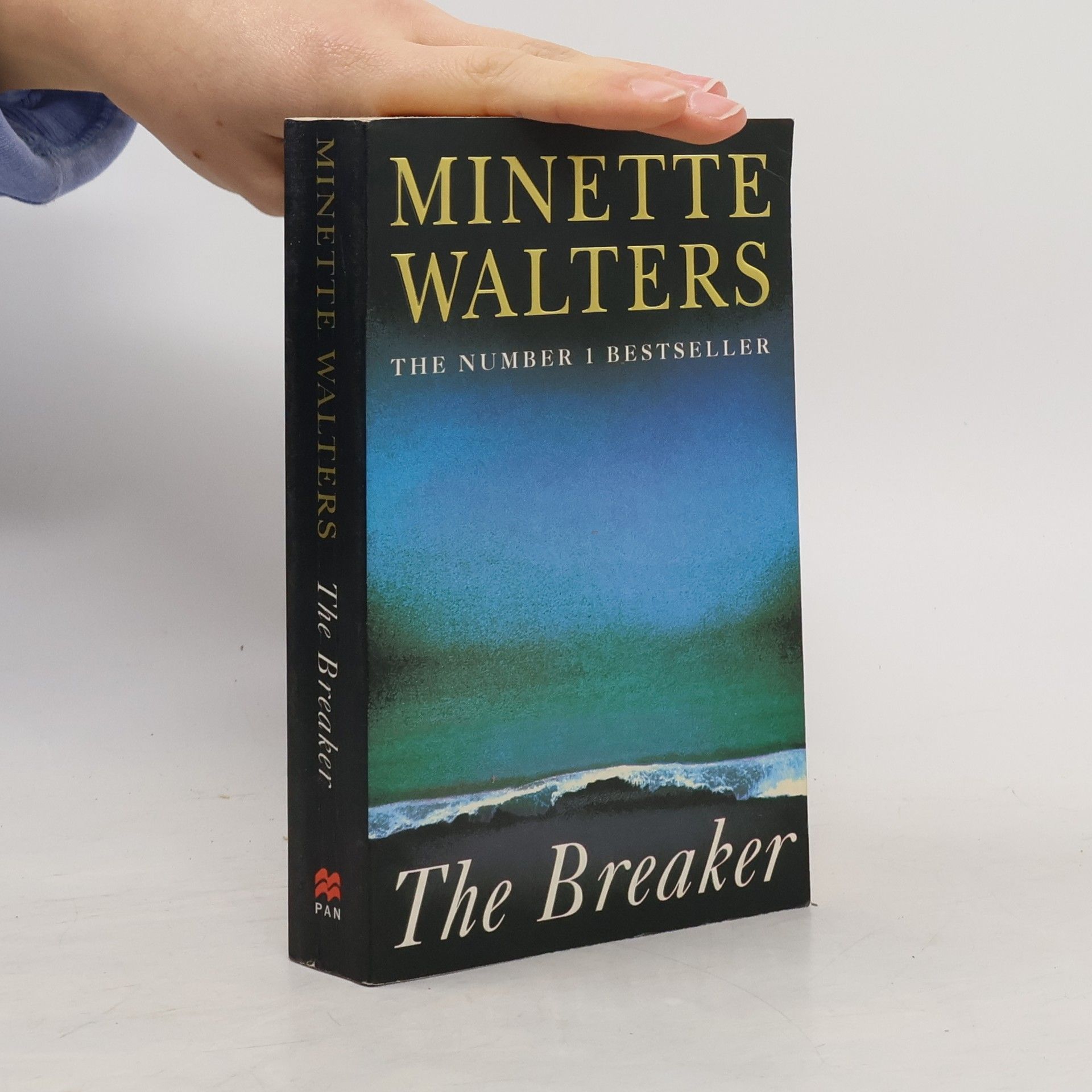Minette Walters The Breaker