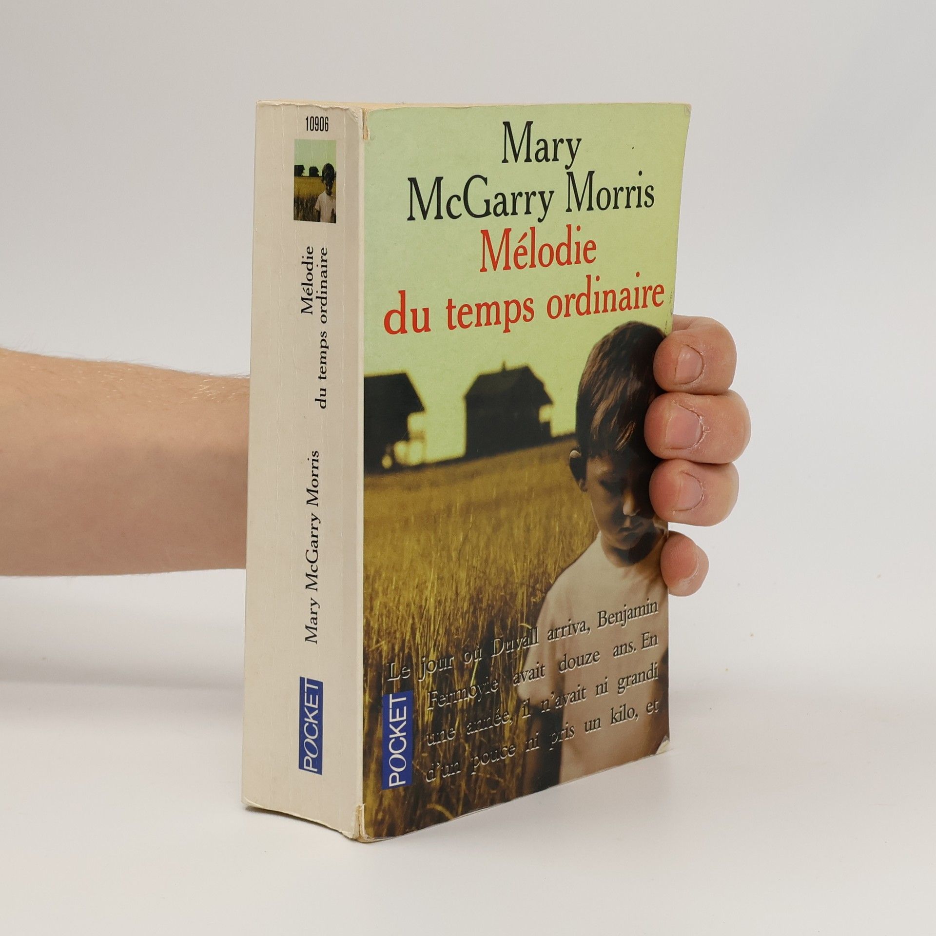 Mary McGarry Morris Mélodie du temps ordinaire