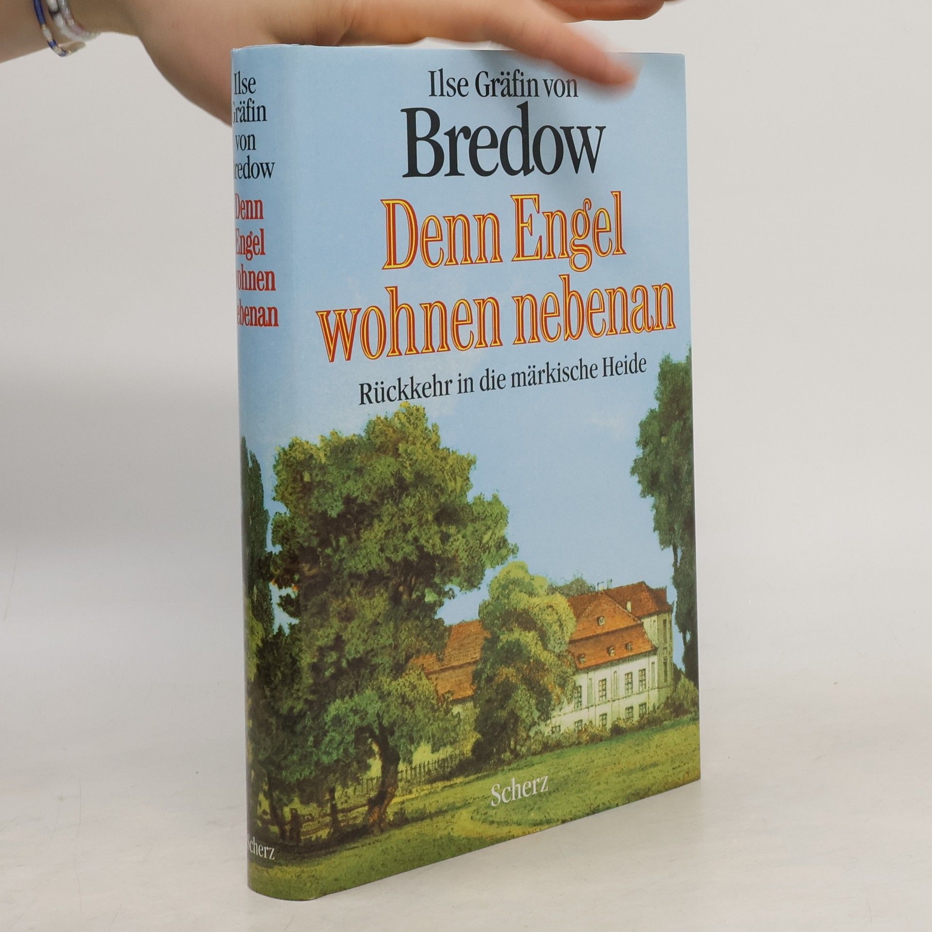 Ilse von Bredow Denn Engel wohnen nebenan