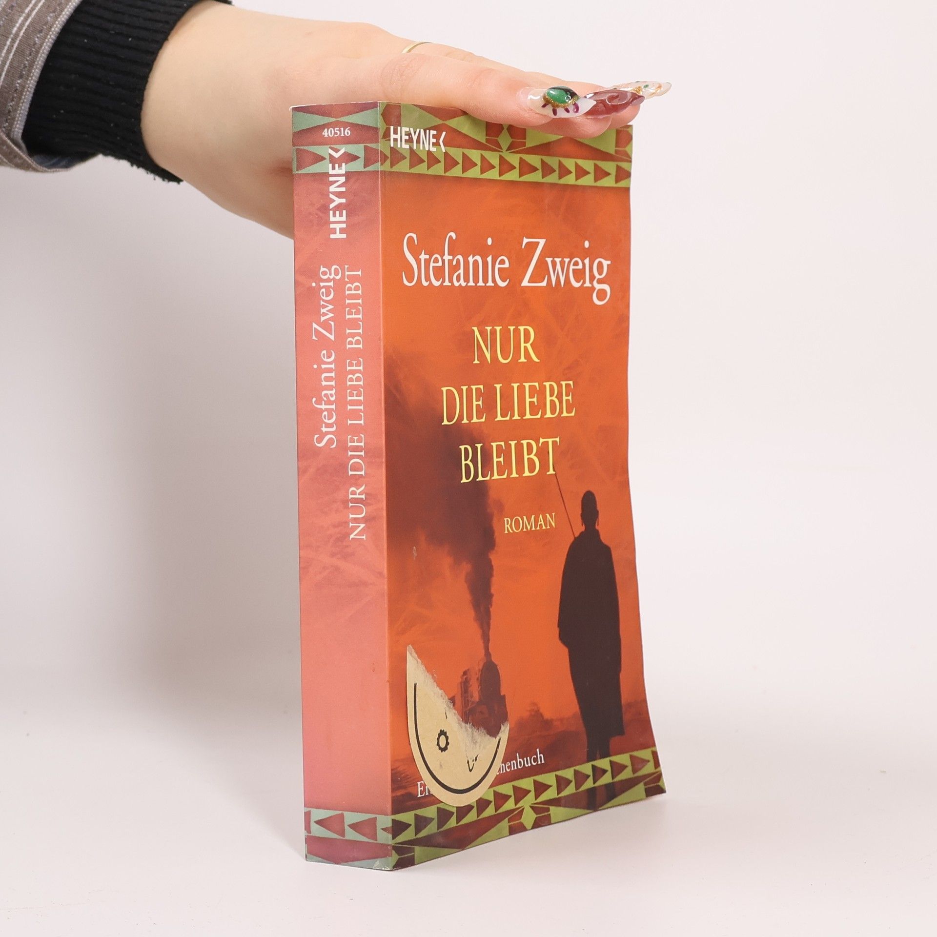 Stefanie Zweig Nur die Liebe bleibt