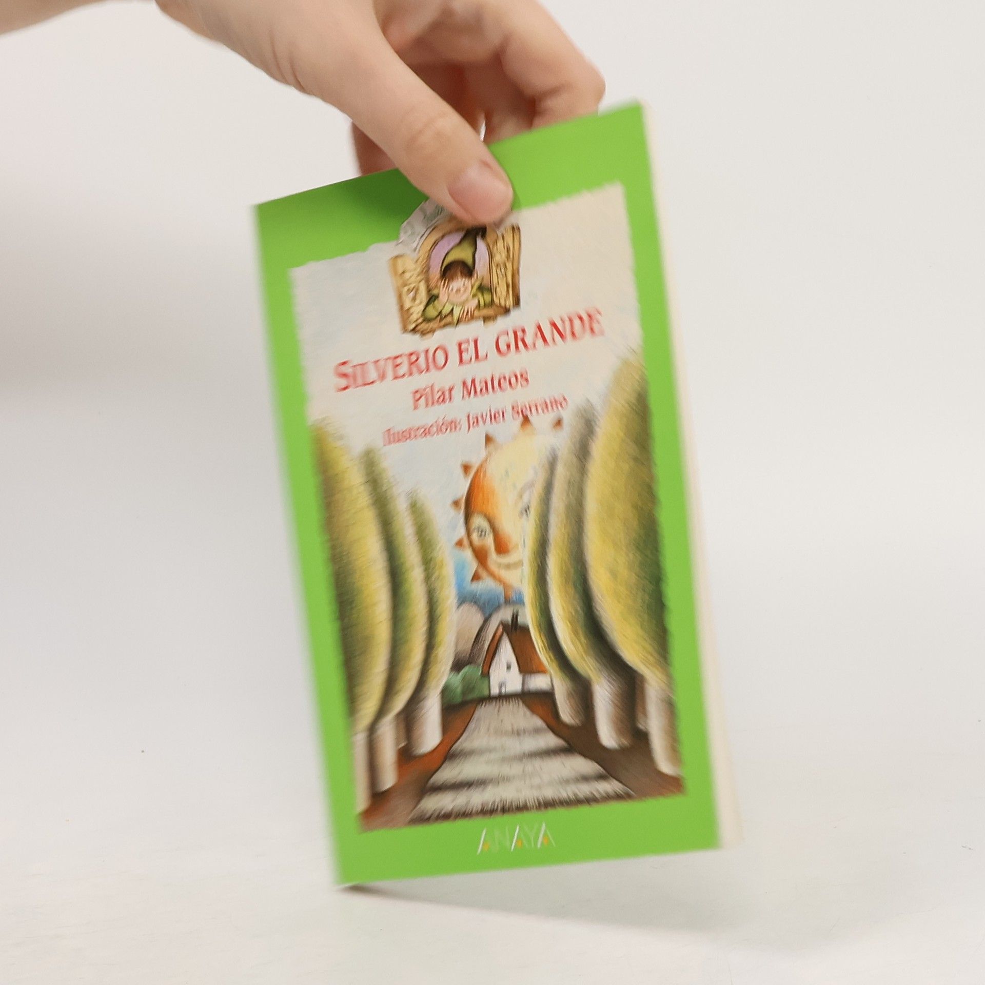 Pilar Mateos Silverio el Grande