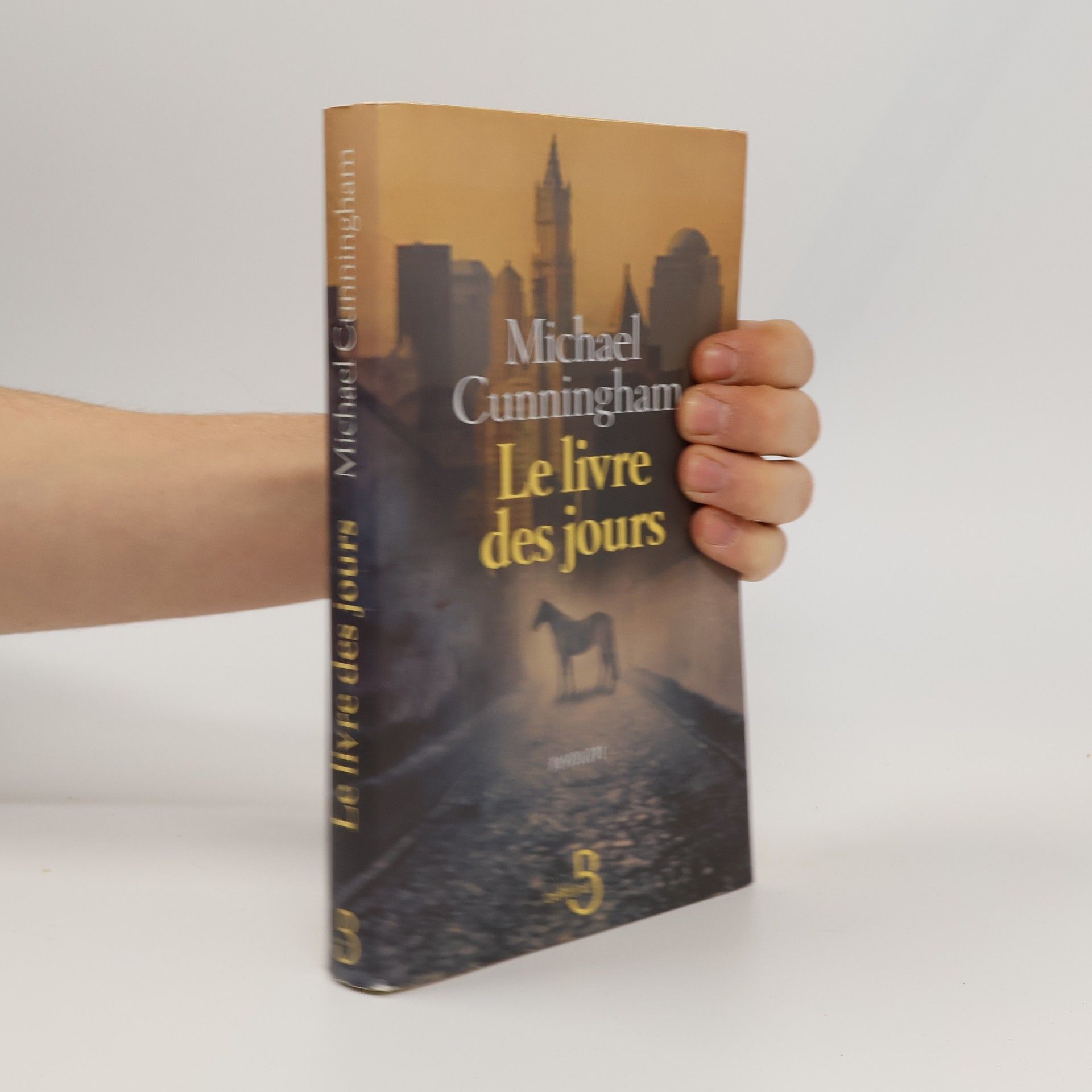Anne Damour Le livre des jours