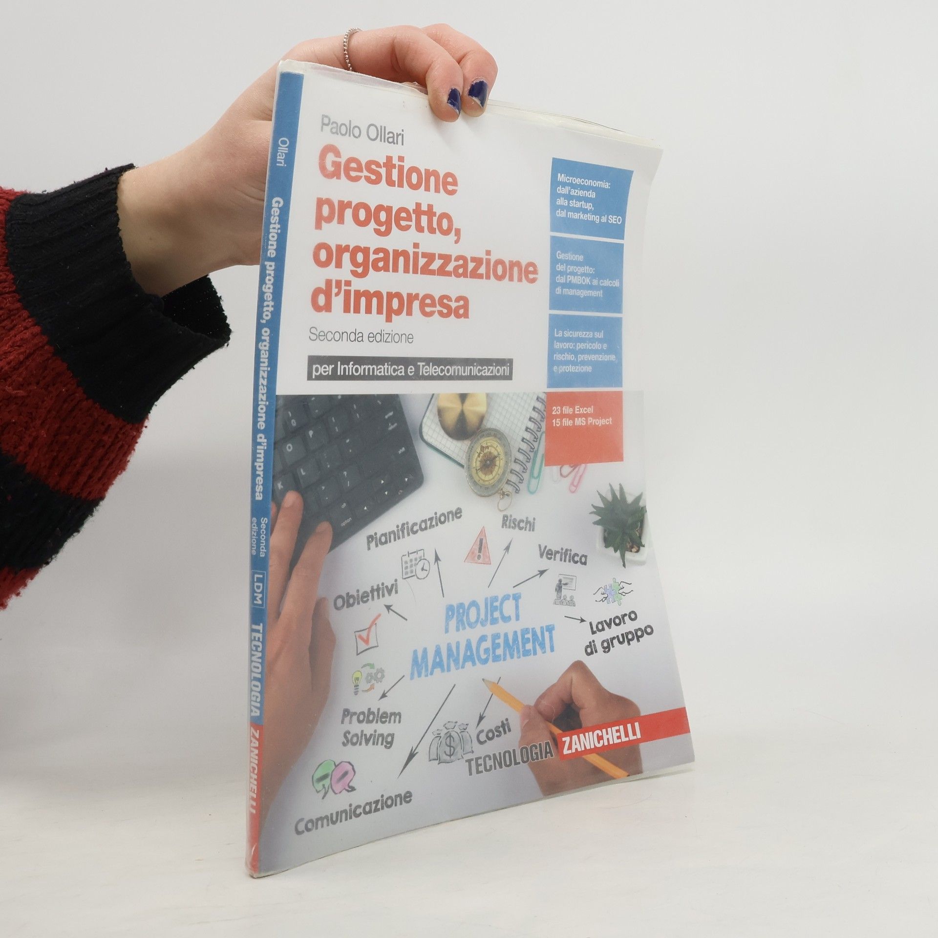 Paolo Ollari Gestione progetto, organizzazione d'impresa