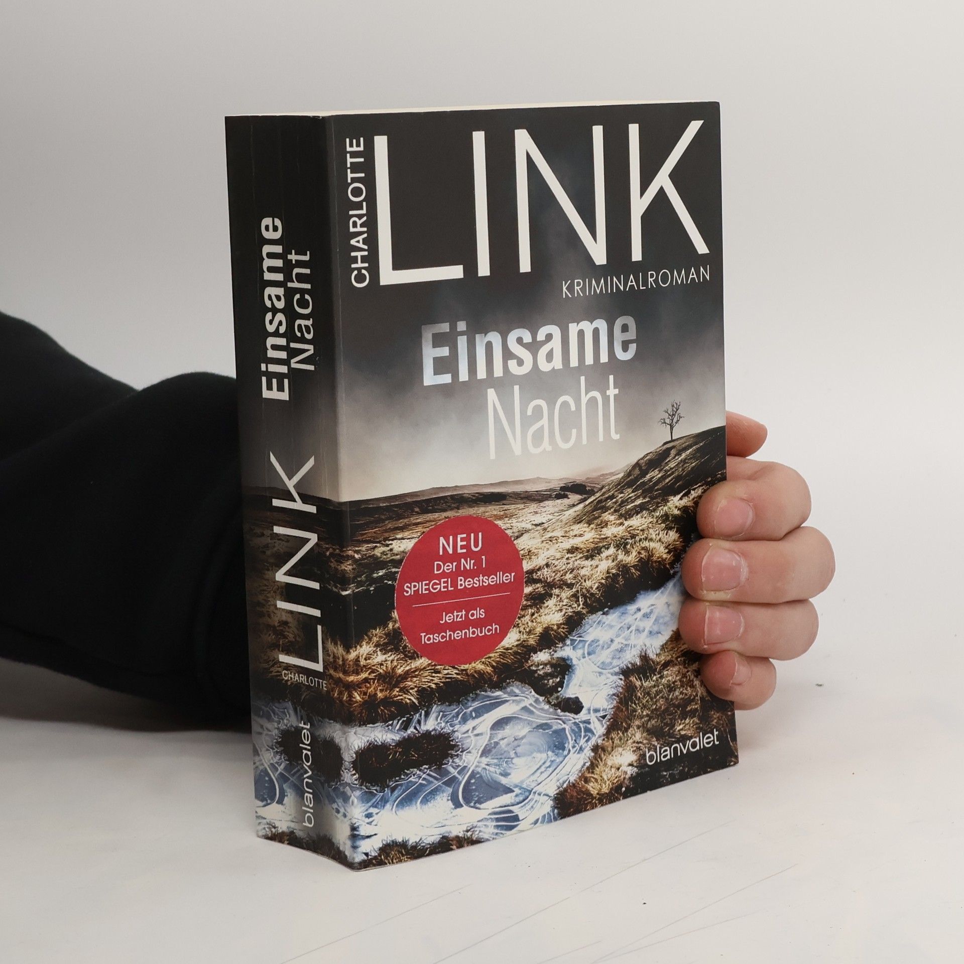 Charlotte Link Einsame Nacht