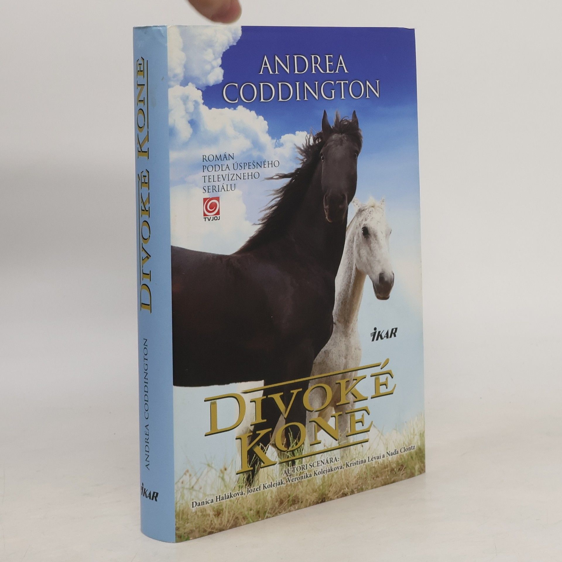 Andrea Coddington Divoké kone