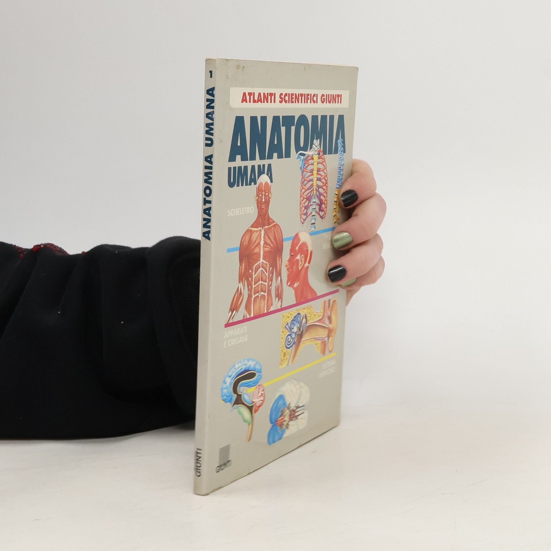 Vincente Muedra Baixauli Atlanti scientifici - 1: Anatomia umana