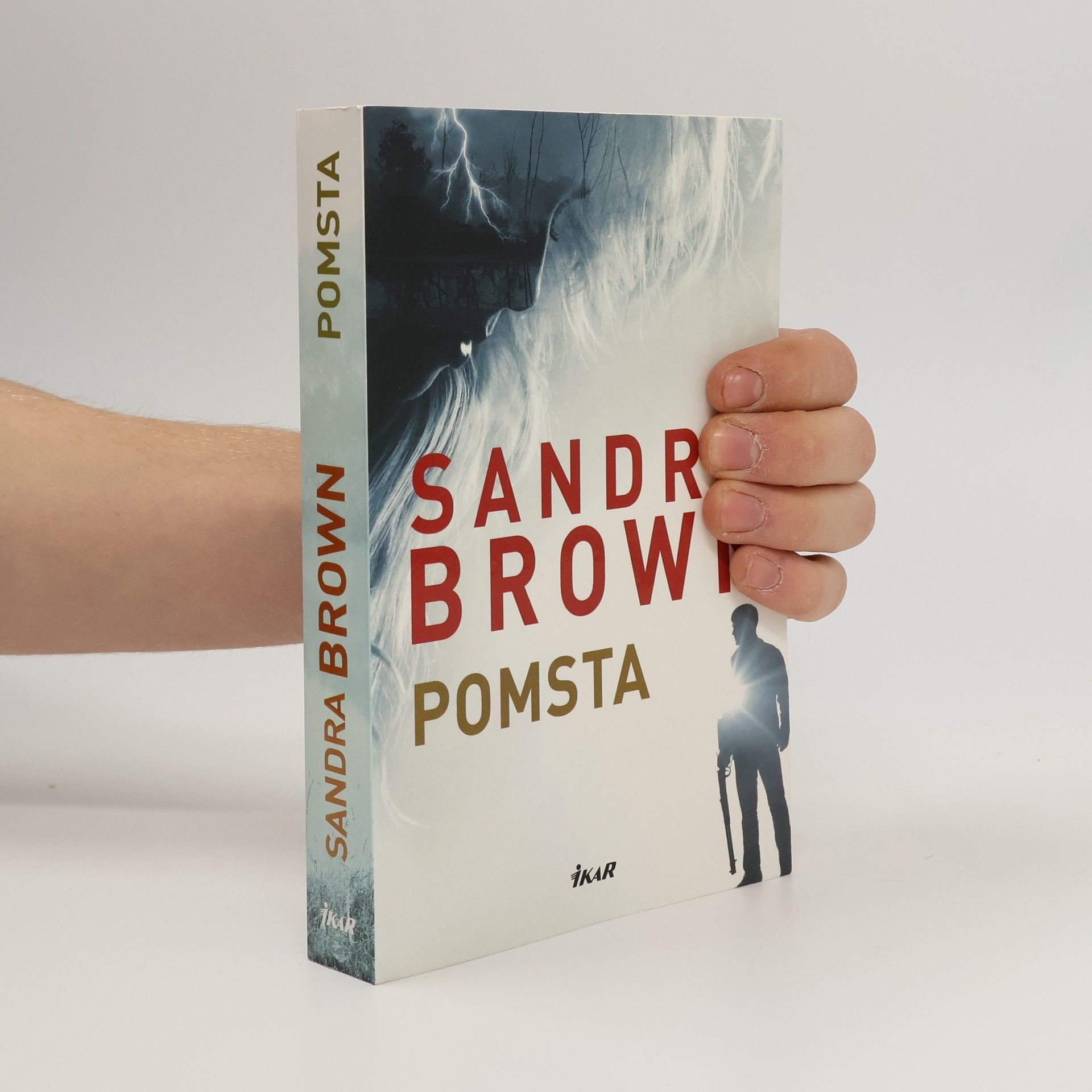 Sandra Brown Pomsta