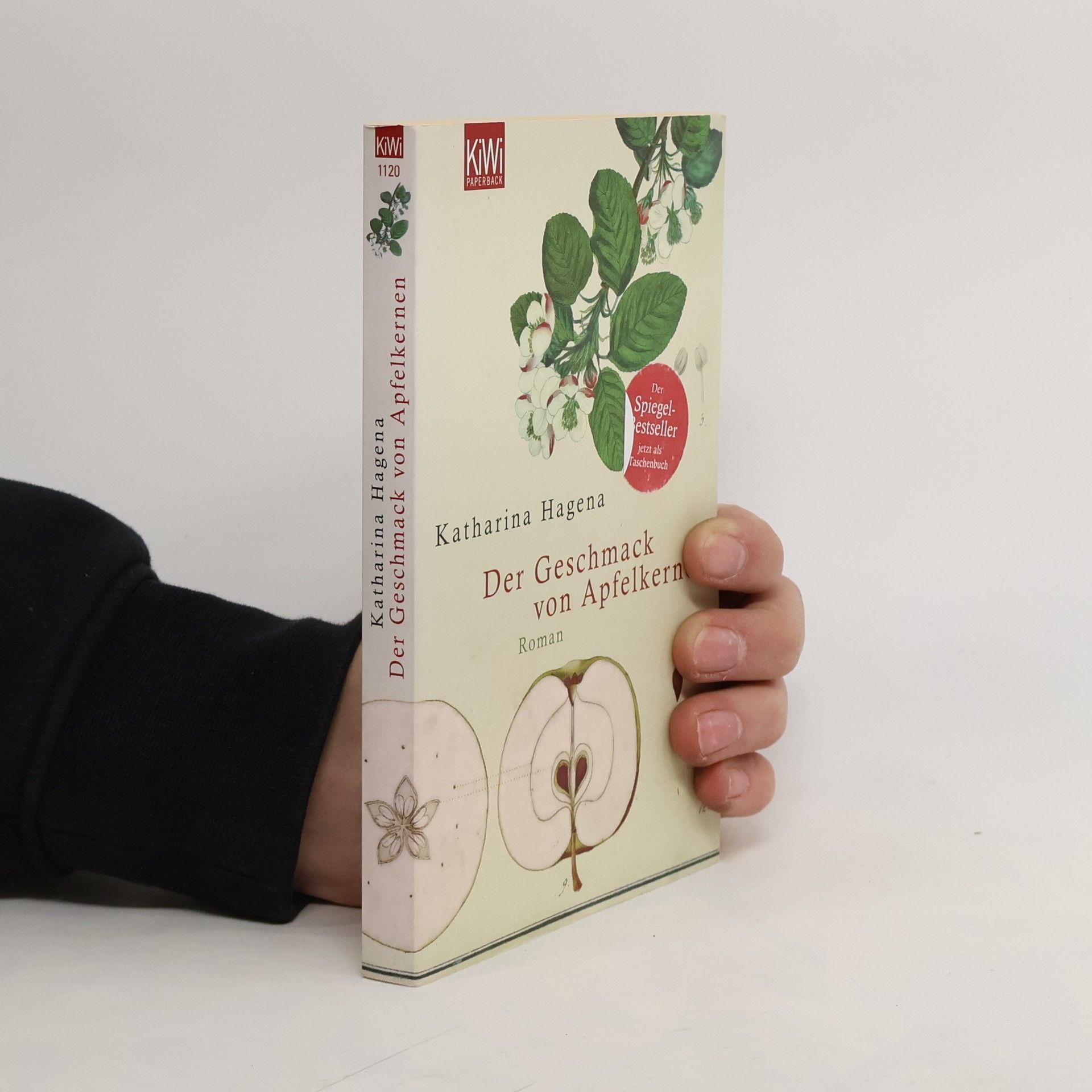 Katharina Hagena Der Geschmack von Apfelkernen