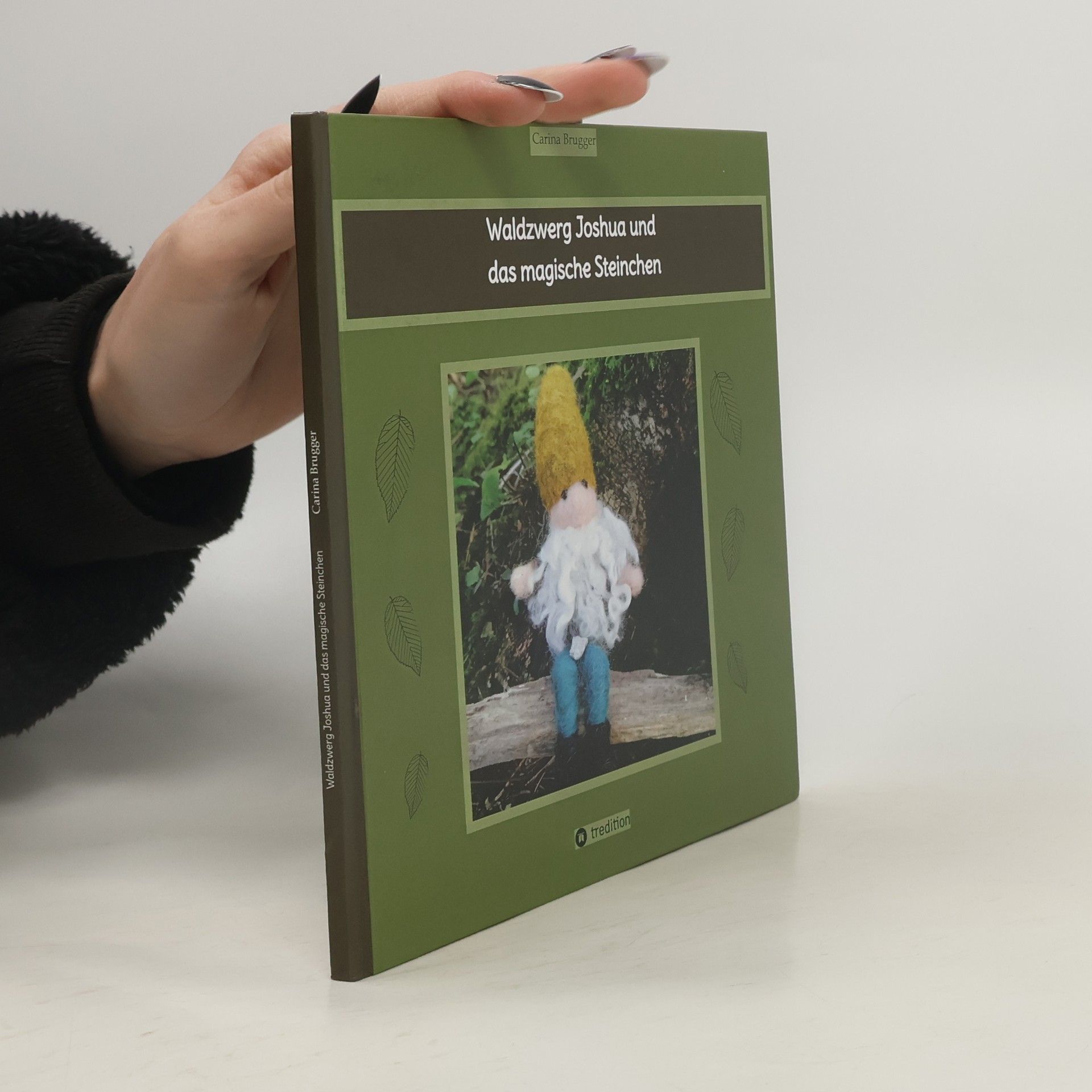 Carina Brugger Waldzwerg Joshua und das magische Steinchen