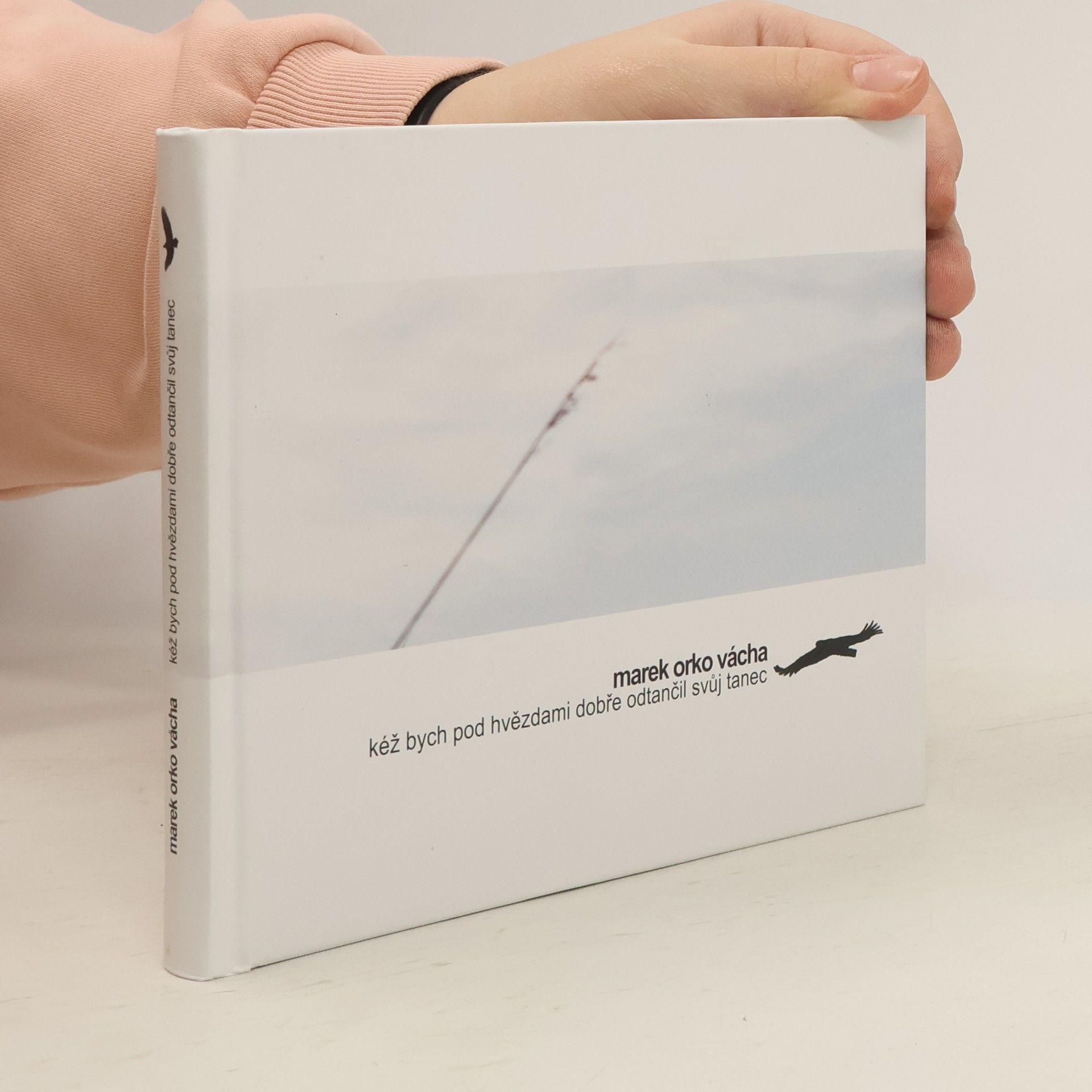 Marek Vácha Kéž bych pod hvězdami dobře odtančil svůj tanec