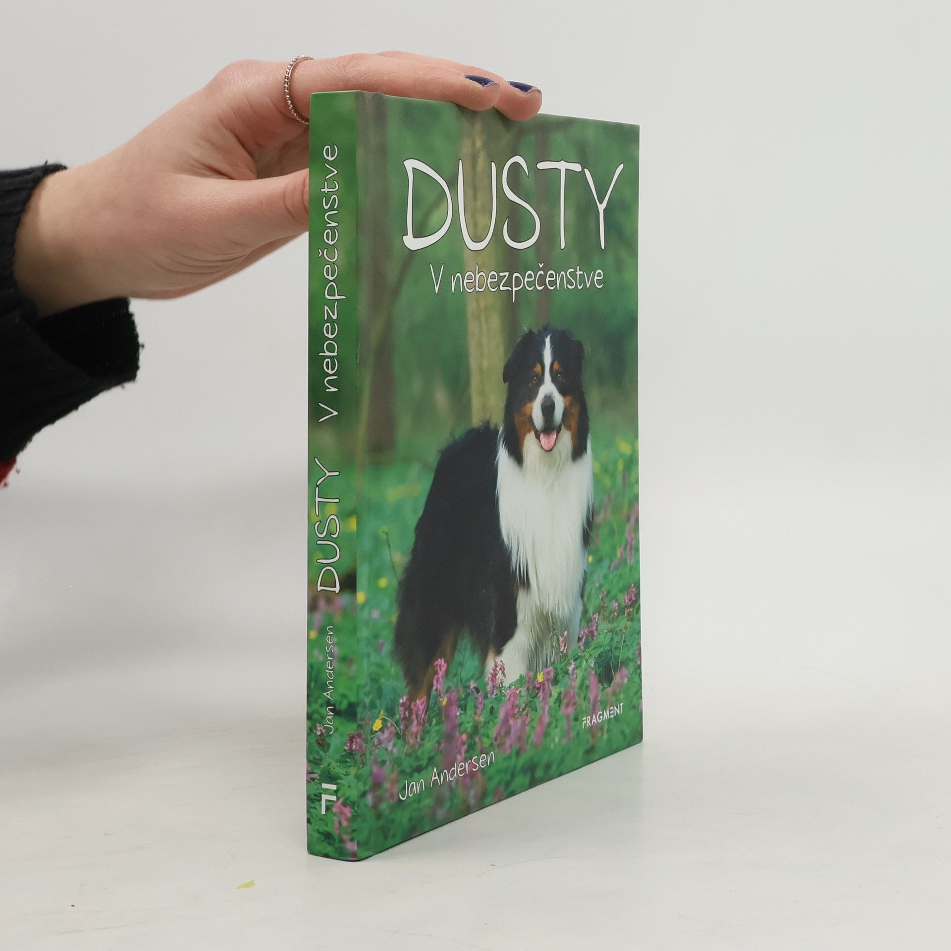 Wolfram Hänel Dusty - V nebezpečenstve