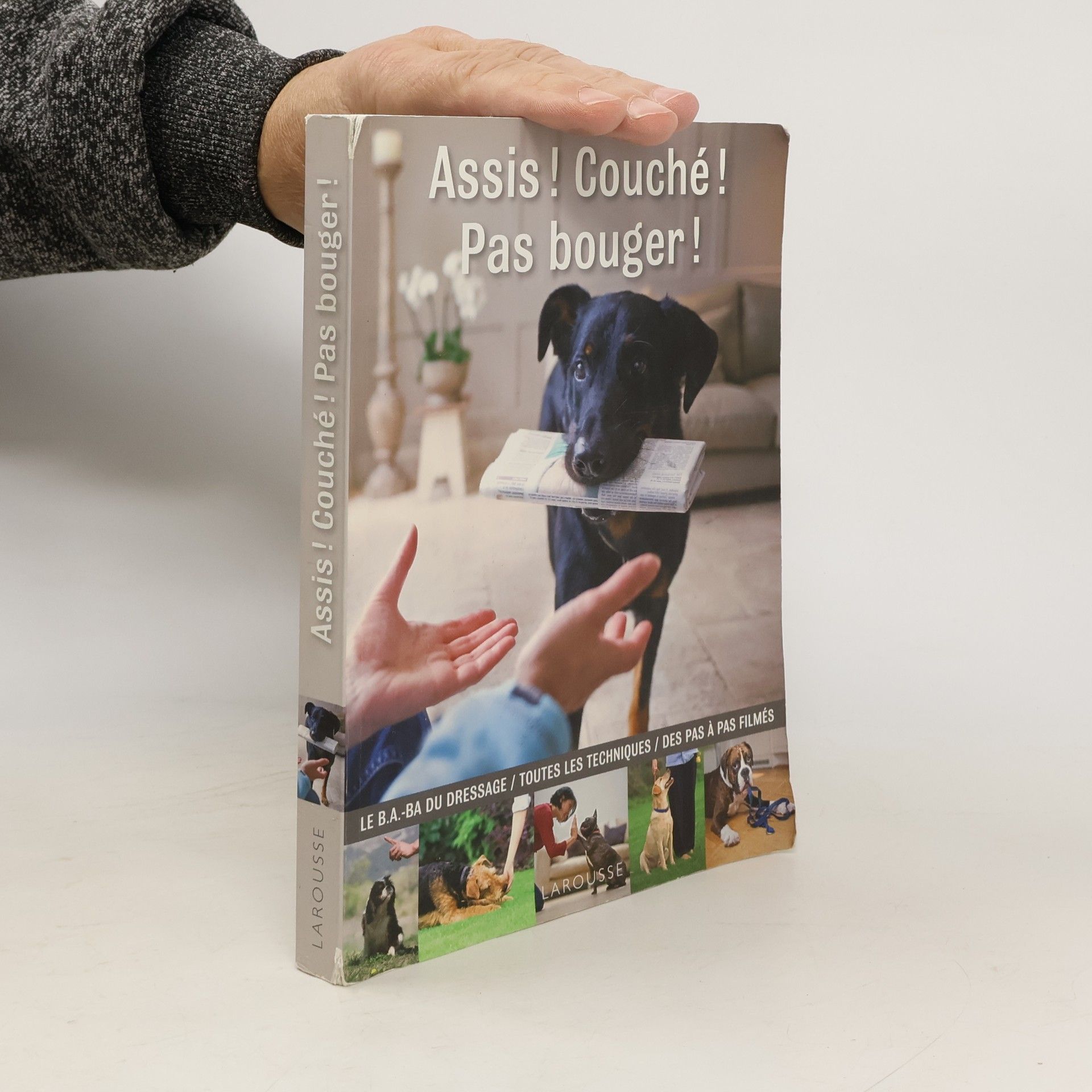 Gwen Bailey Assis ! Couché ! Pas bouger !