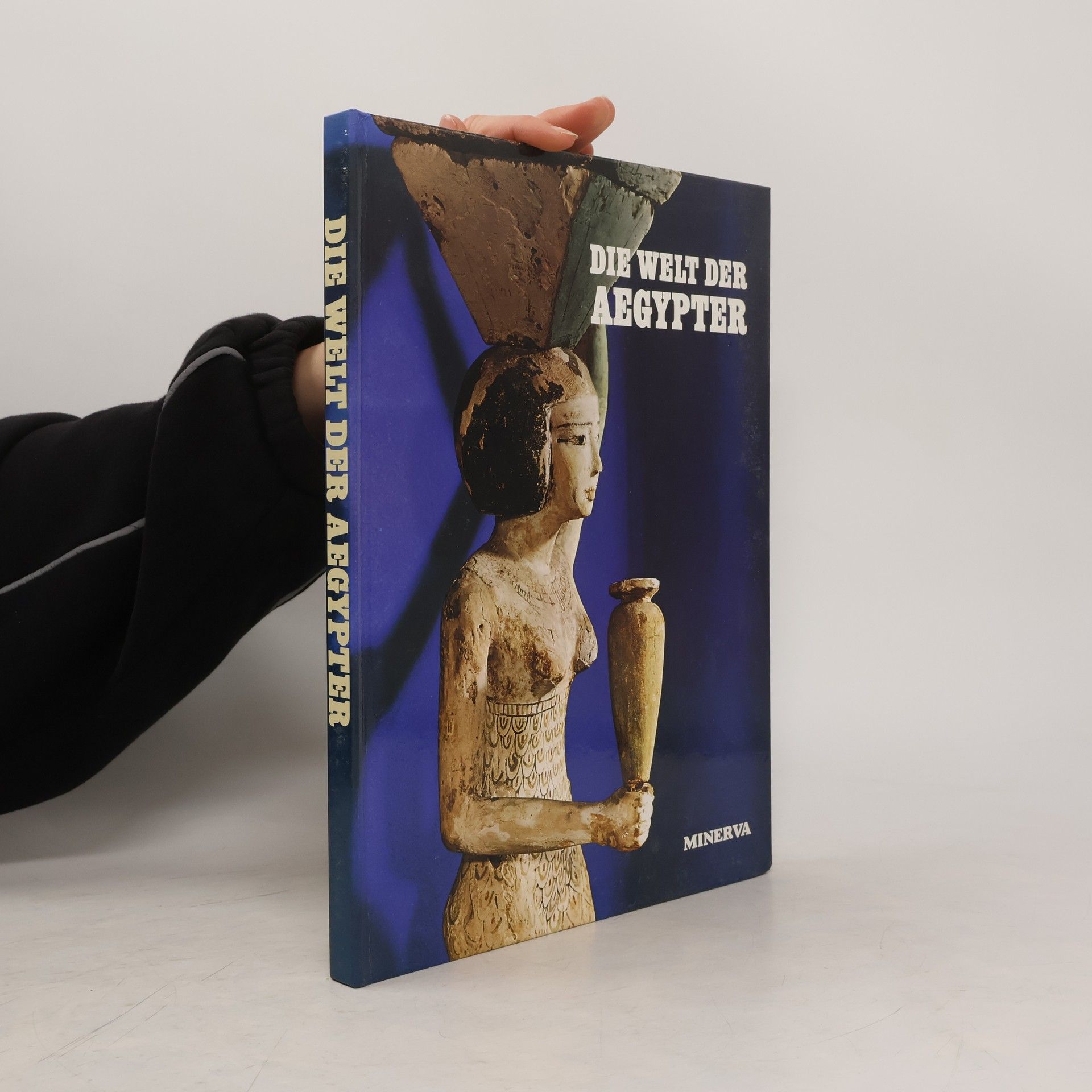 Various authors Die Welt der Aegypter