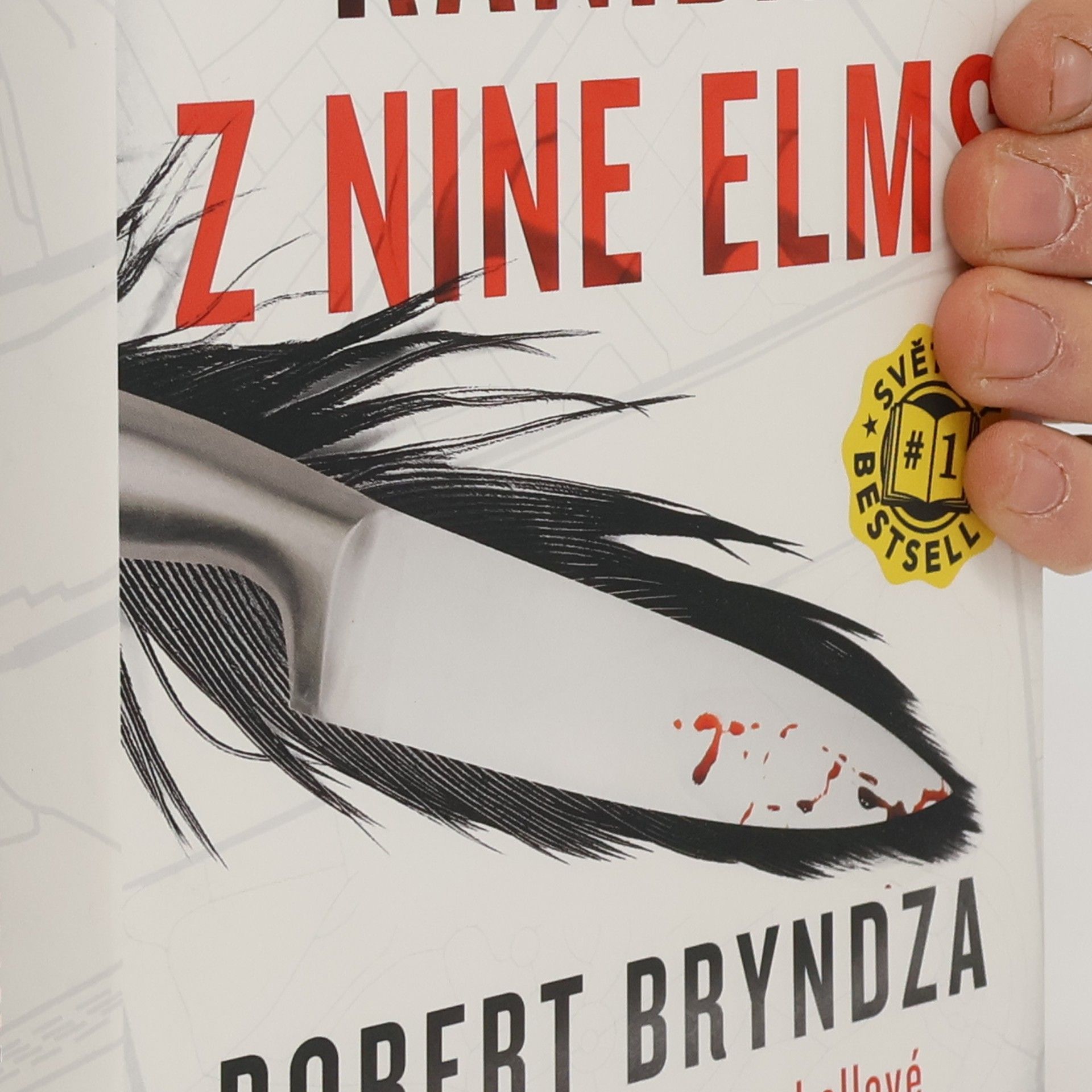 Robert Bryndza Kanibal z Nine Elms