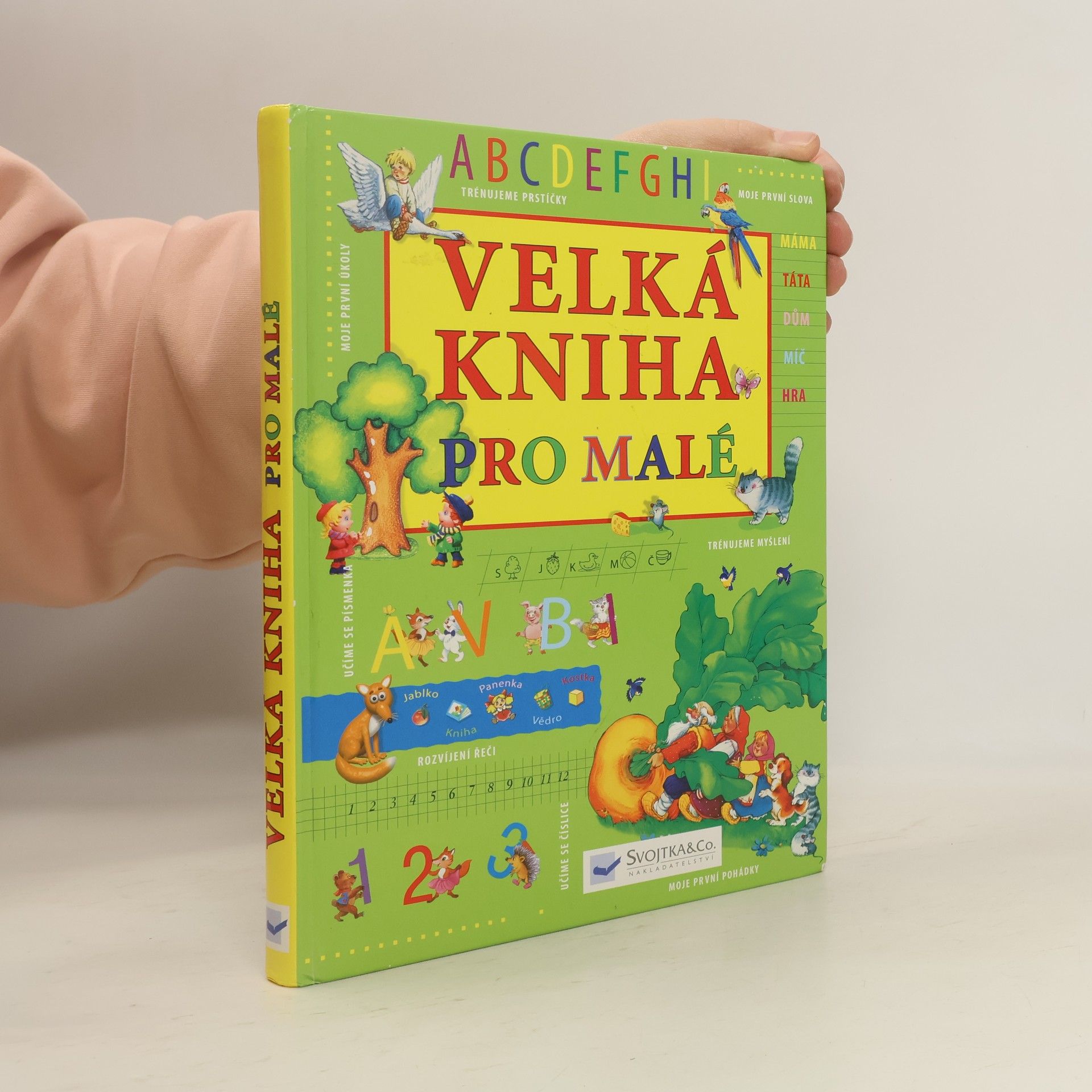 Autorenkollektiv Velká kniha pro malé