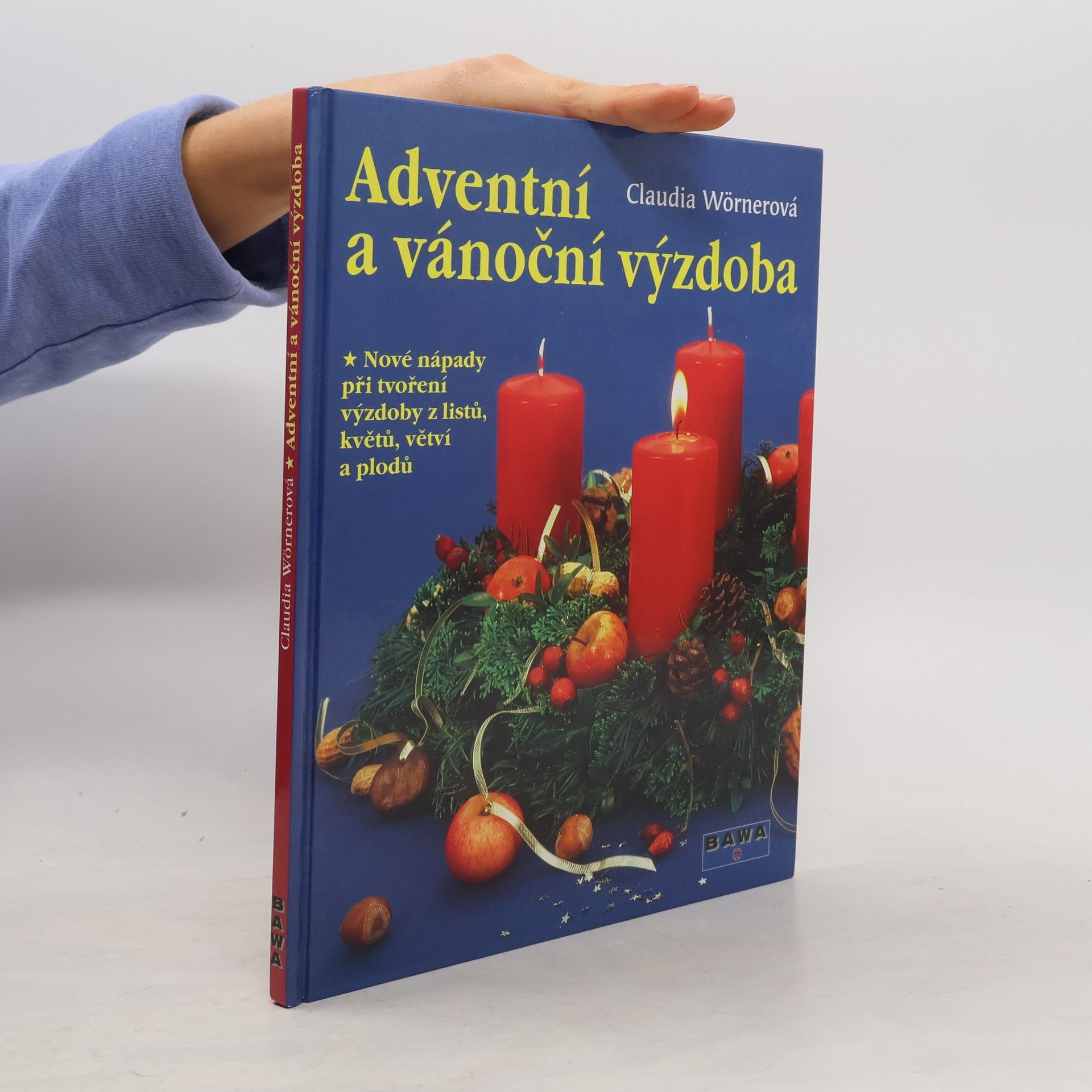 Claudia Wörner Adventní a vánoční výzdoba : nové nápady při tvoření výzdoby z listů, květů, větví a plodů