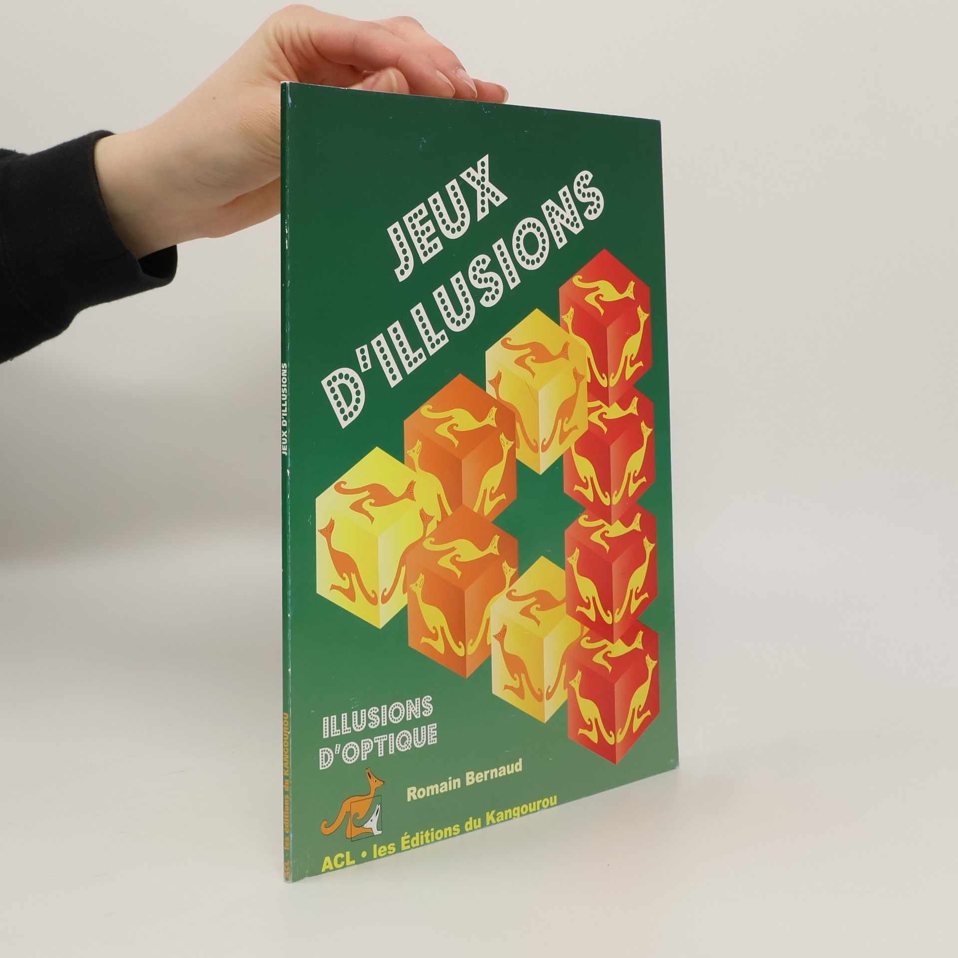 Romain Bernaud Jeux d'illusions