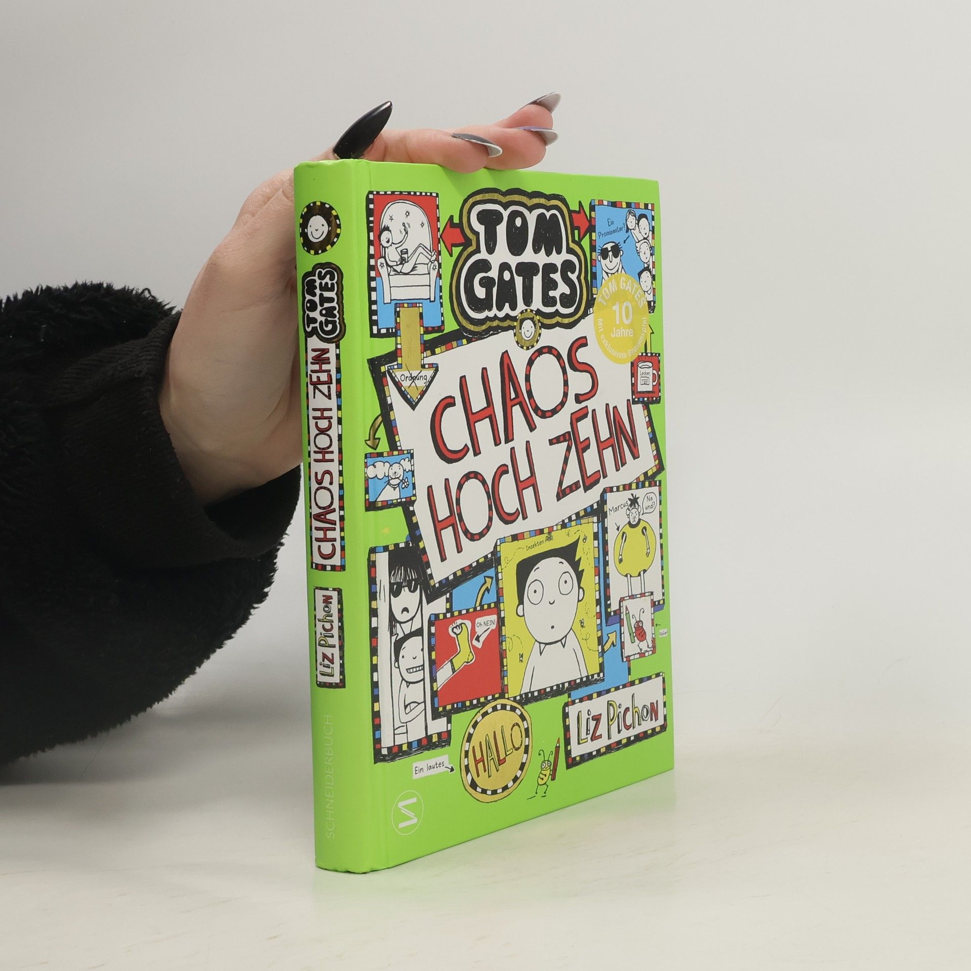 Liz Pichon Chaos hoch zehn