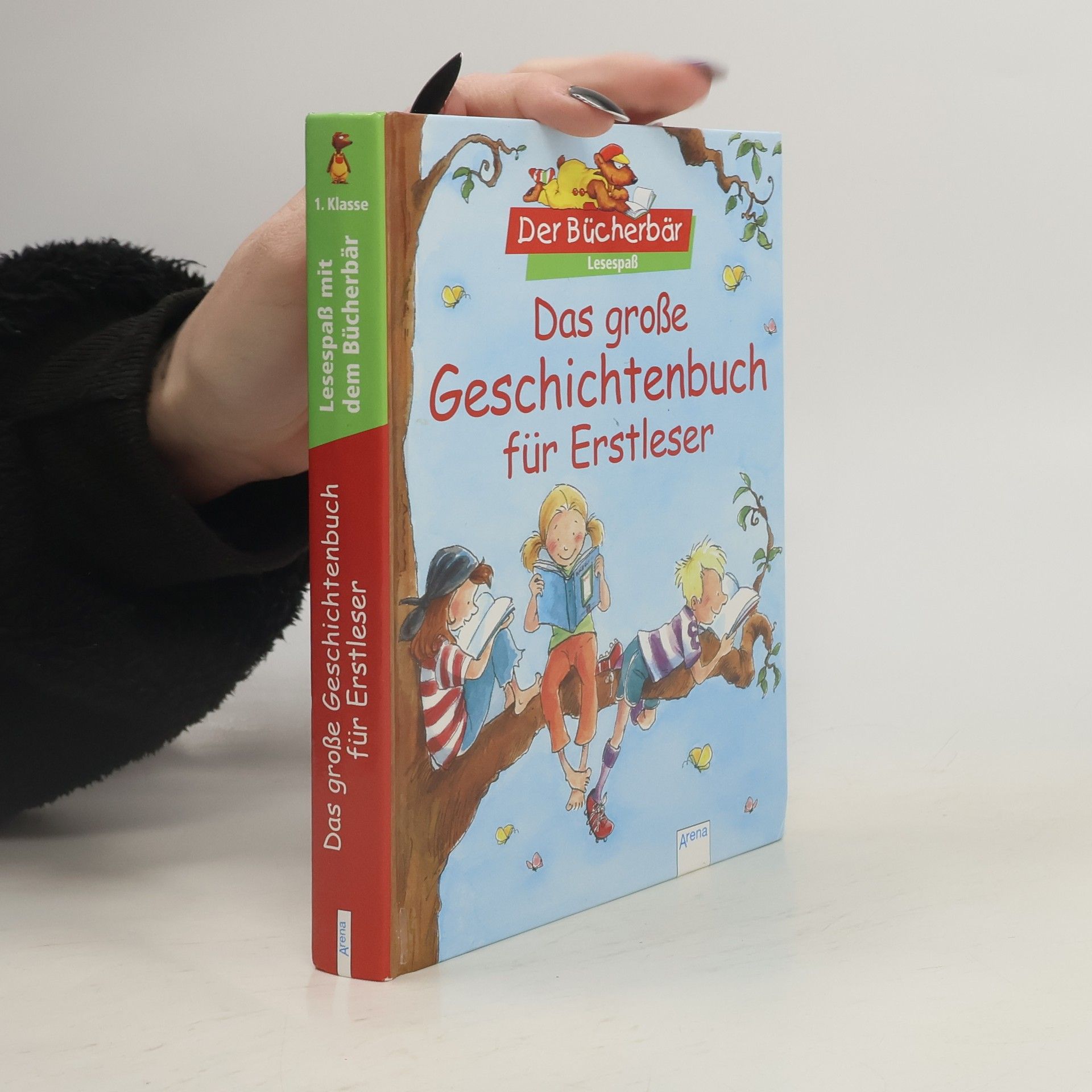 Kolektív autorov Das große Geschichtenbuch für Erstleser
