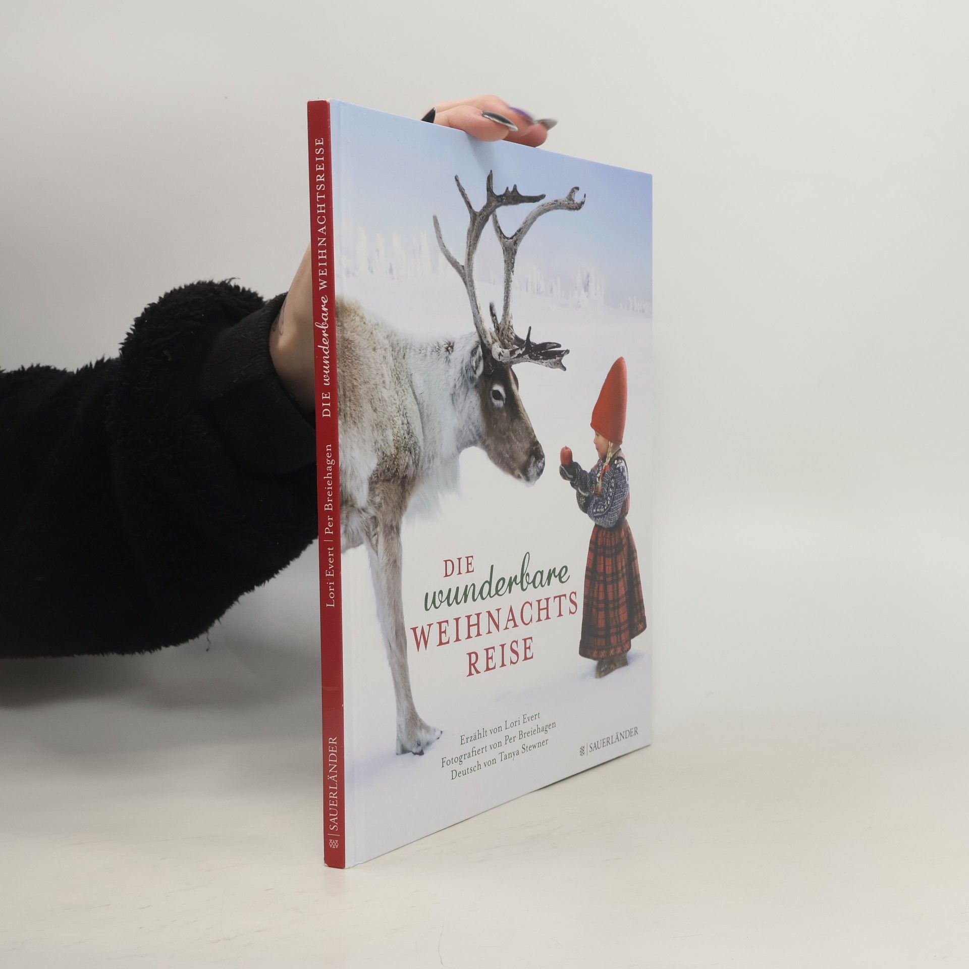 Lori Evert Die wunderbare Weihnachtsreise