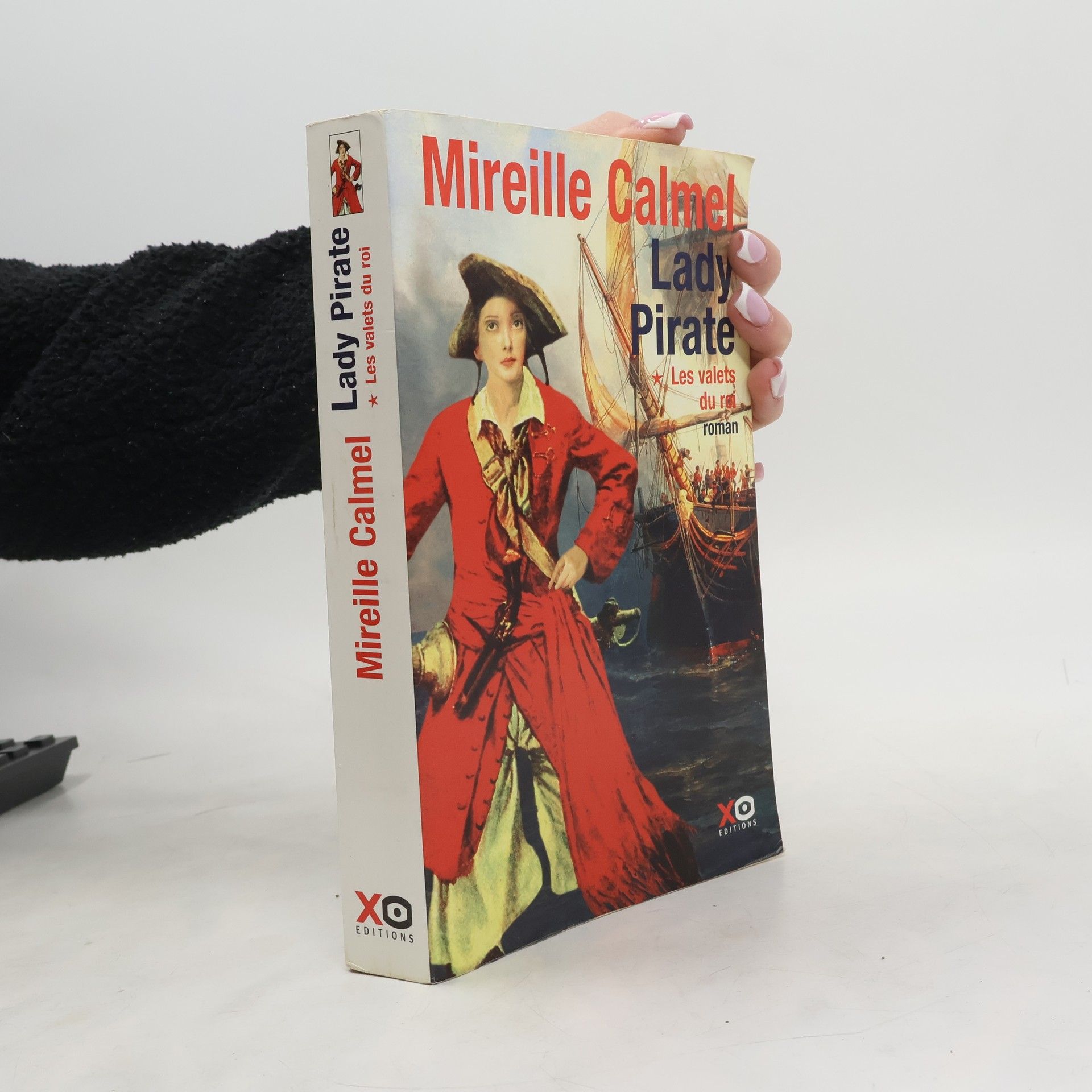 Mireille Calmel Lady pirate - 1: Les valets du roi