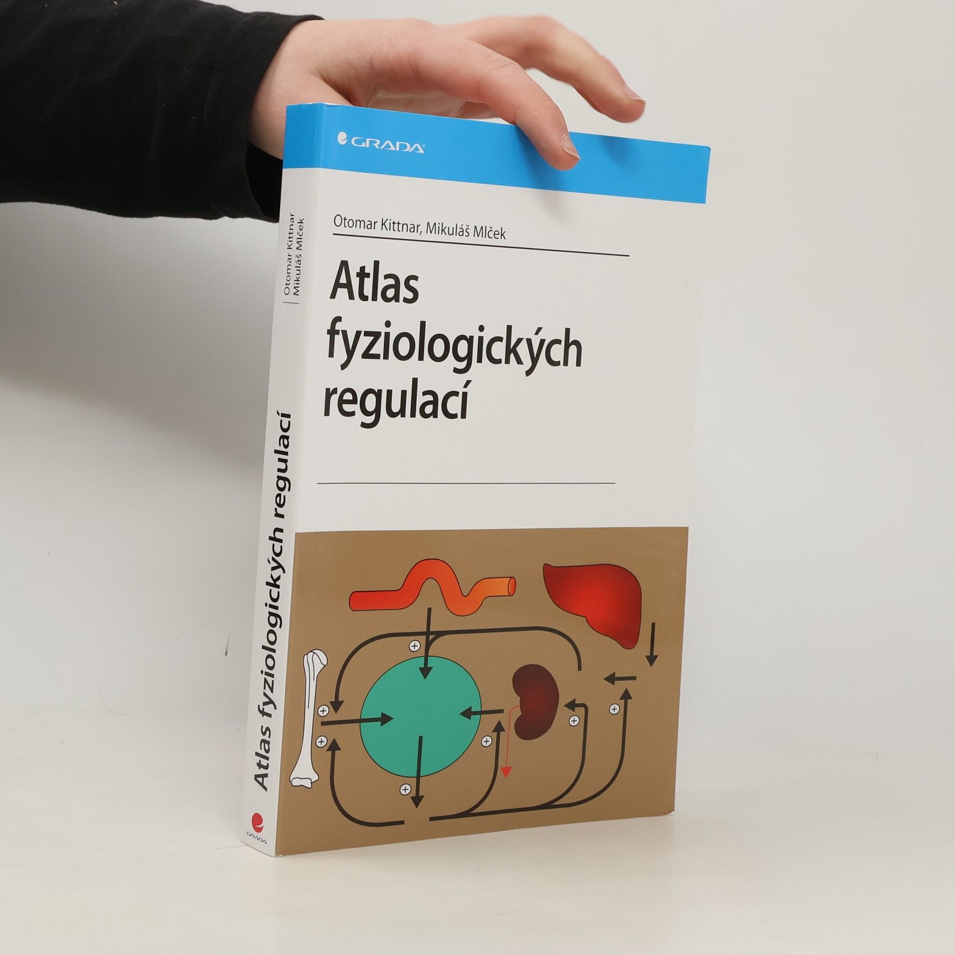 Atlas fyziologických regulací. 329 schémat