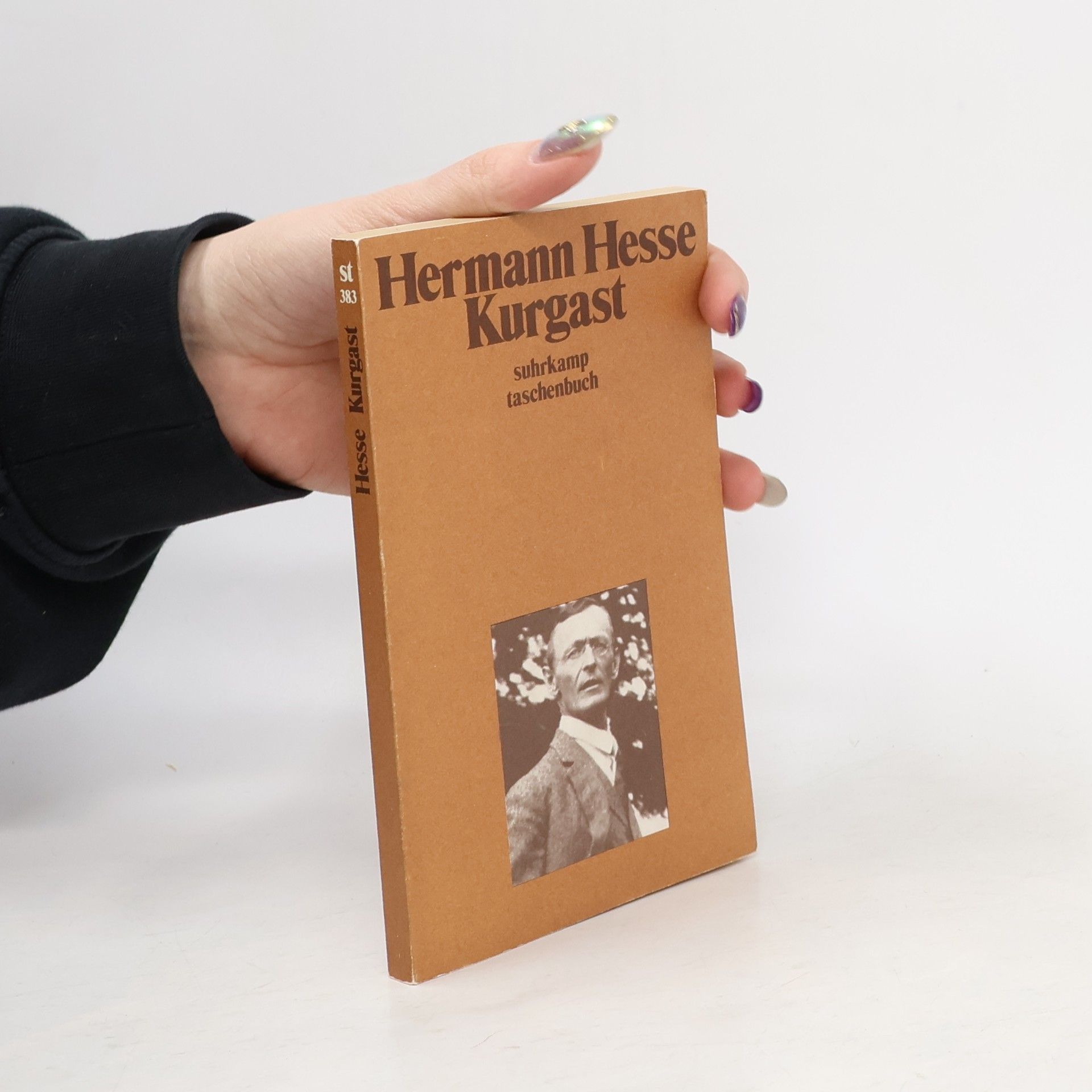 Hermann Hesse Kurgast