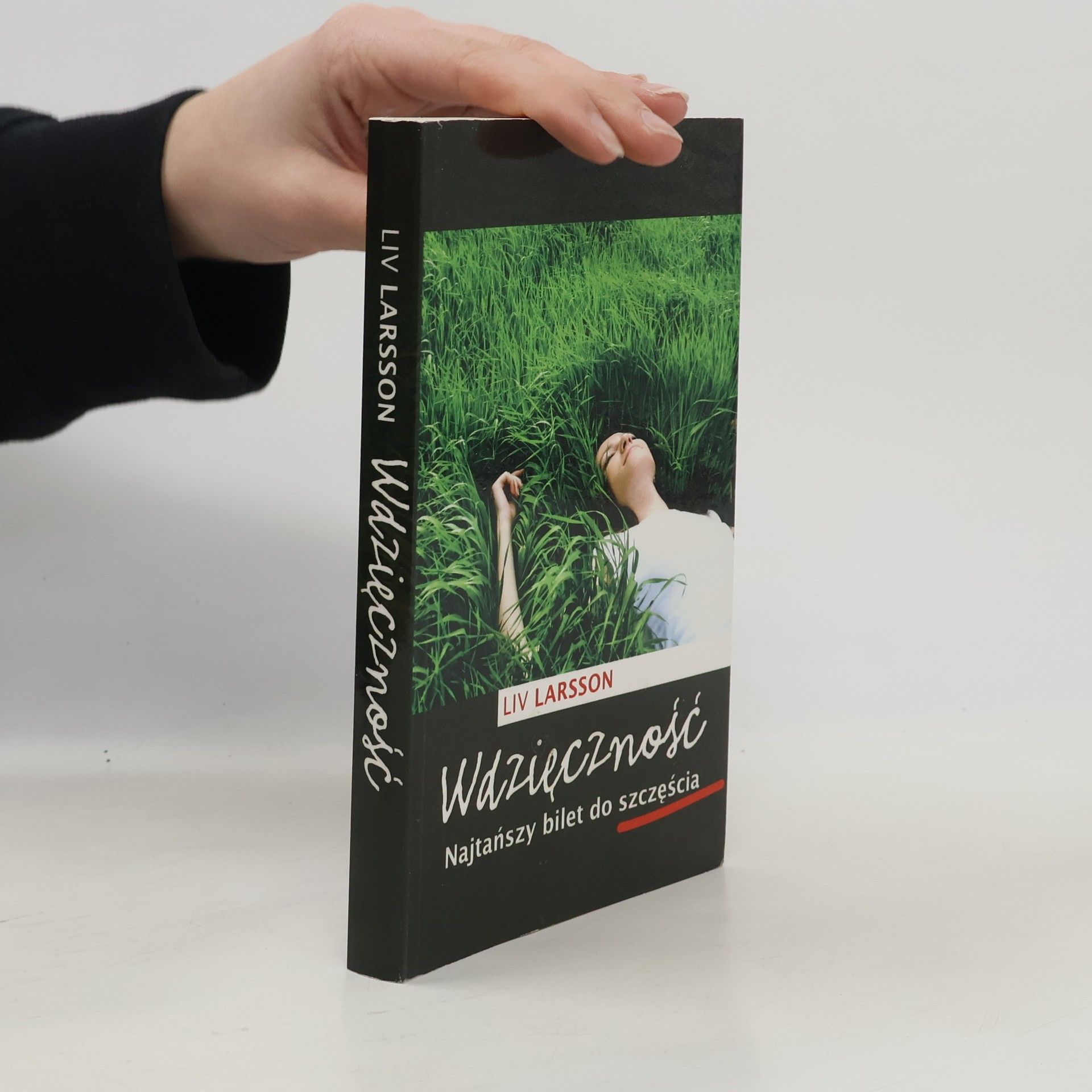 Liv Larsson Wdzięczność. Najtańszy bilet do szczęścia