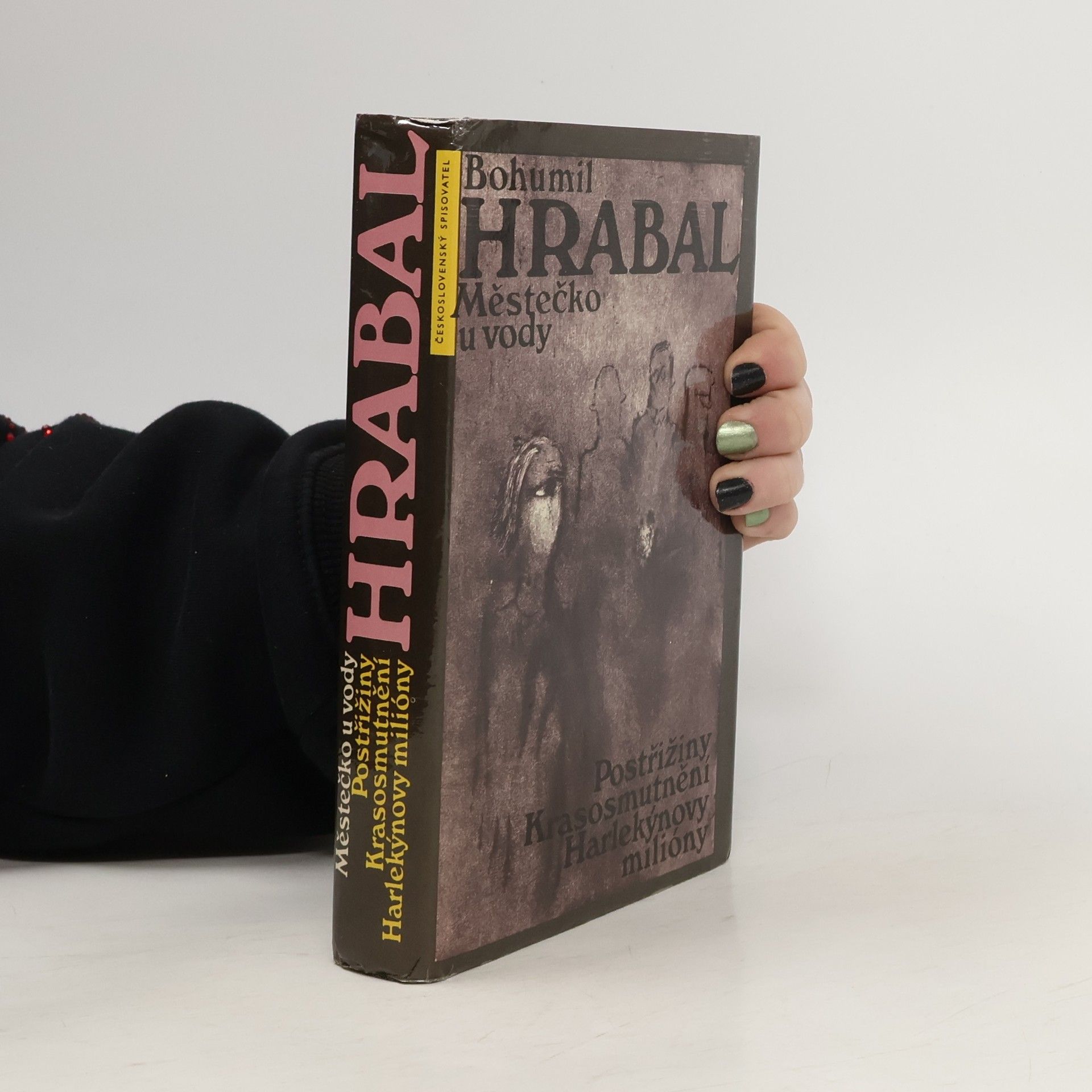 Bohumil Hrabal Městečko u vody