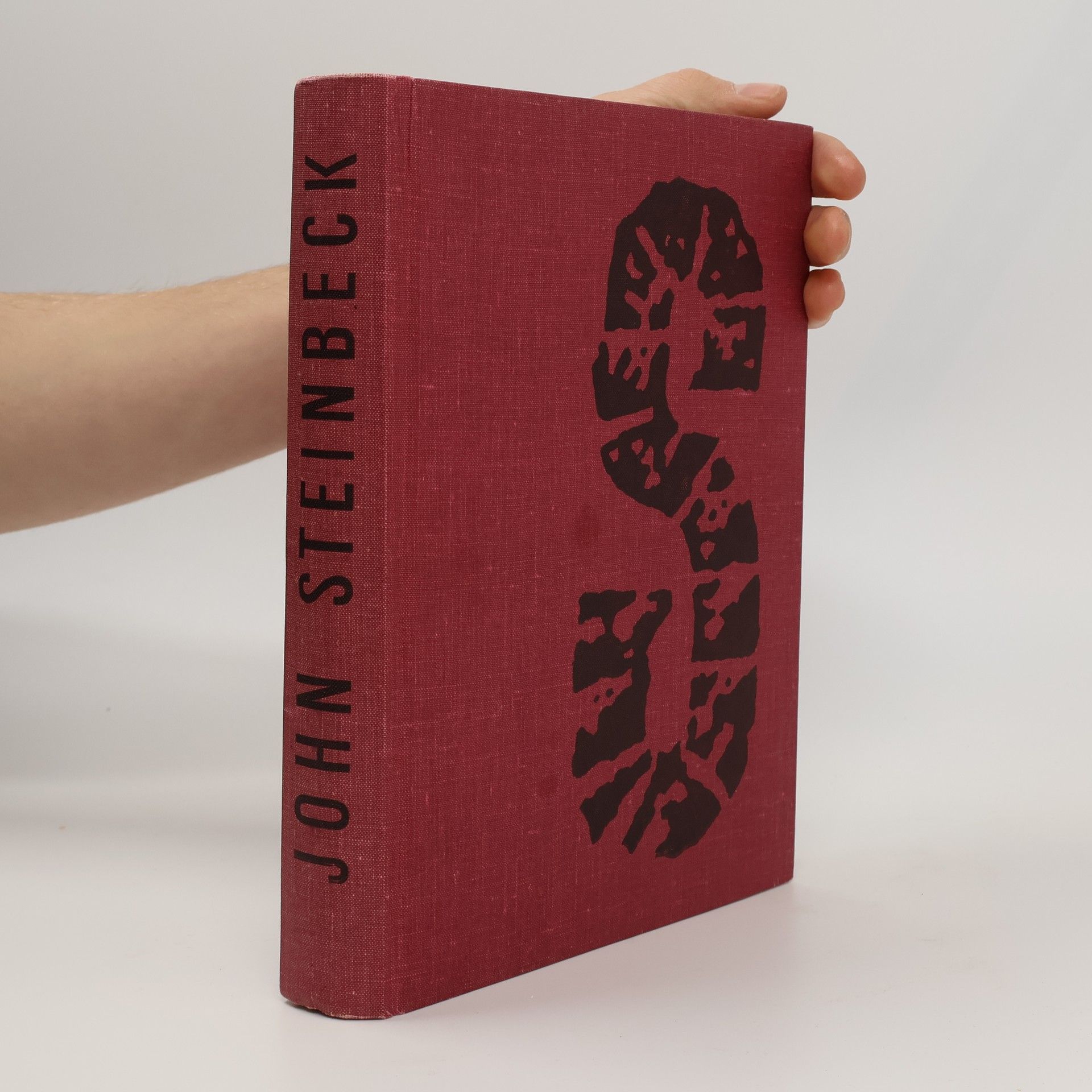 John Steinbeck Hrozny hněvu