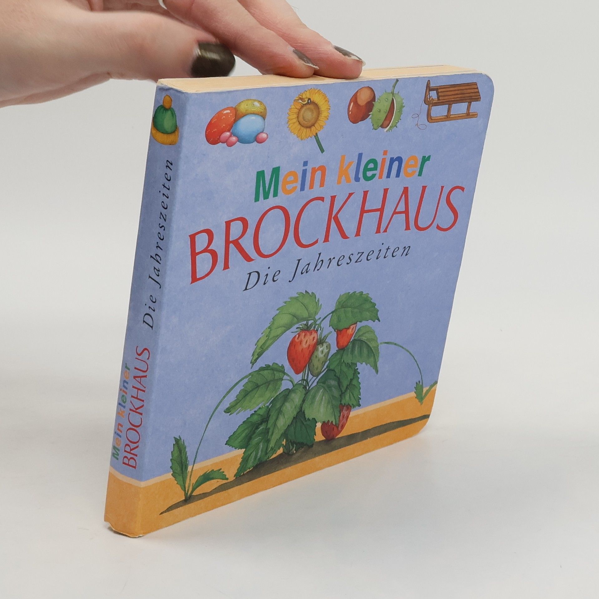 Renate Seelig Mein kleiner Brockhaus