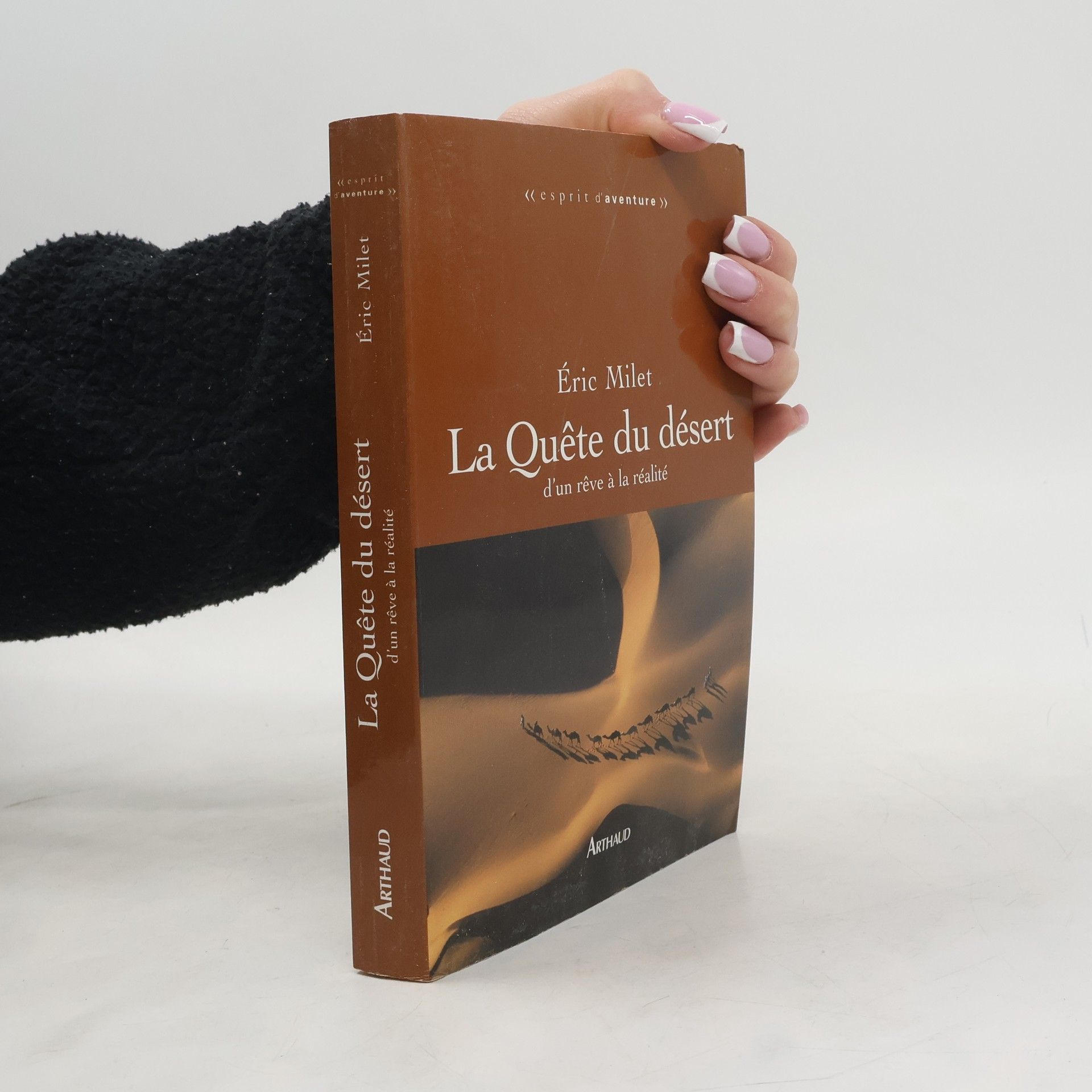 Éric Milet La Quête du désert