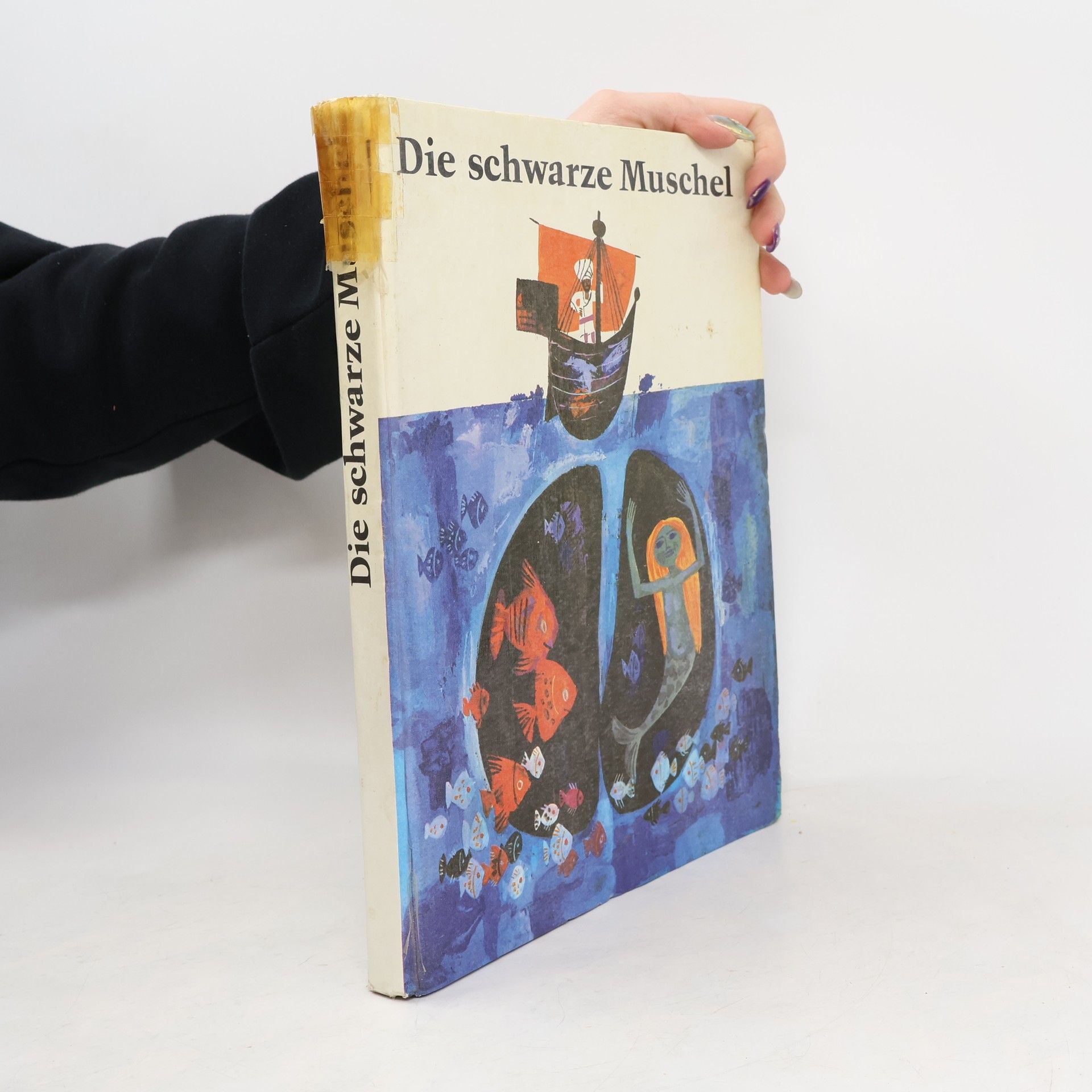 Autorenkollektiv Die schwarze Muschel