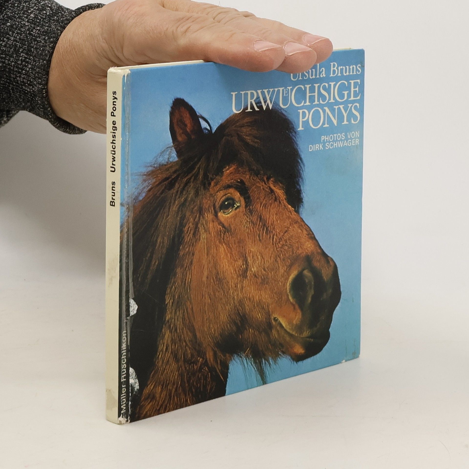 Ursula Bruns Urwüchsige Ponys