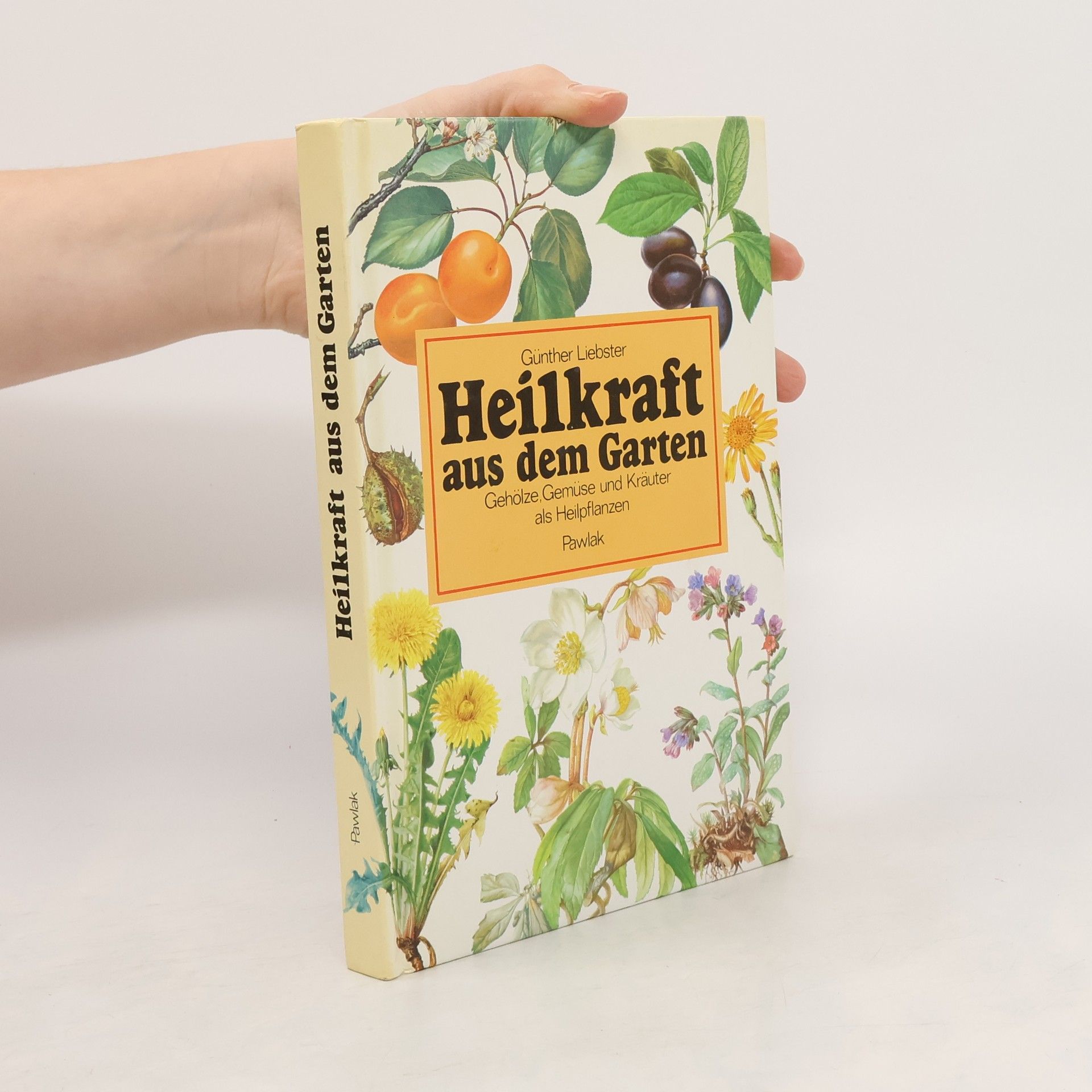 Günther Liebster Heilkraft aus dem Garten