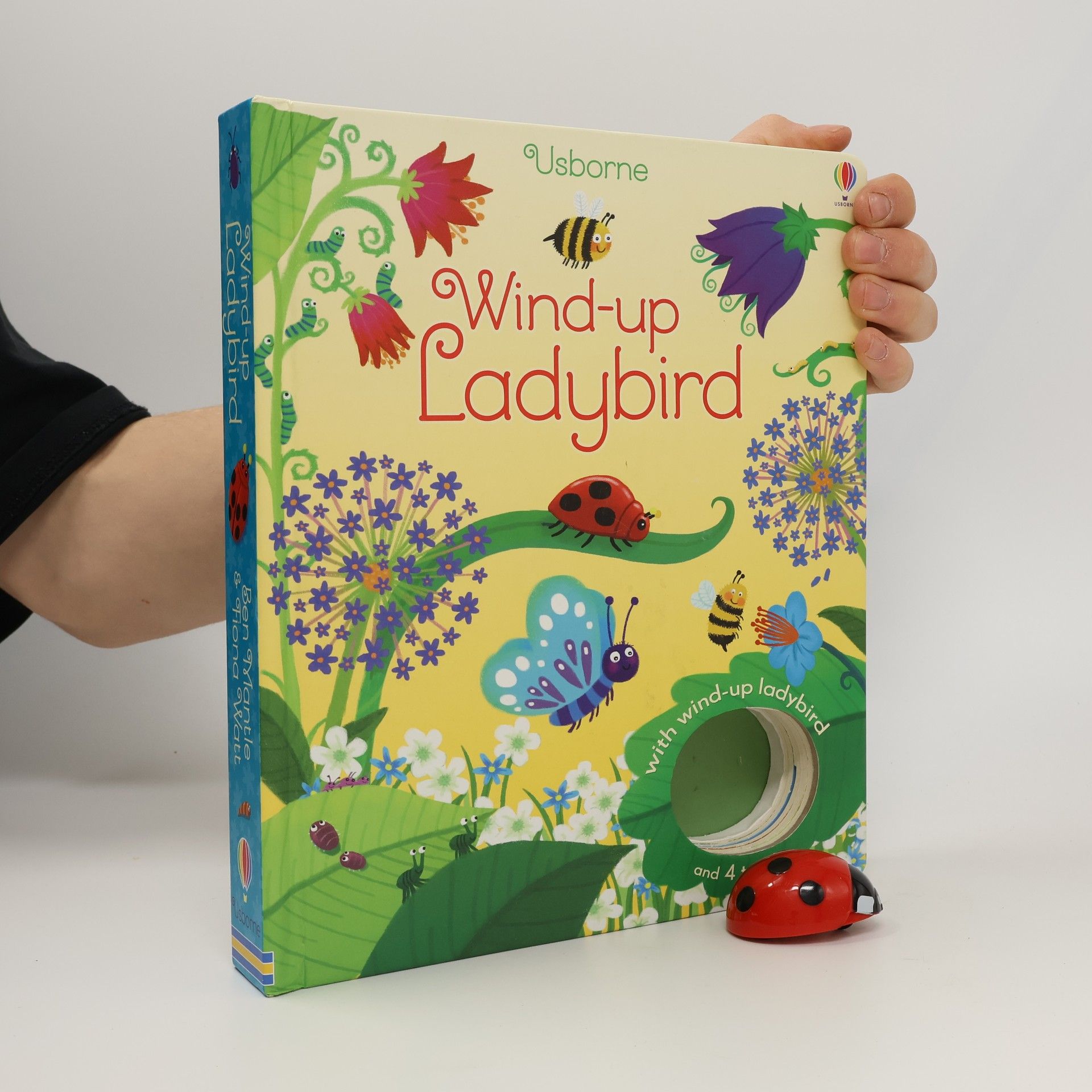 Fiona Watt Wind-up Ladybird