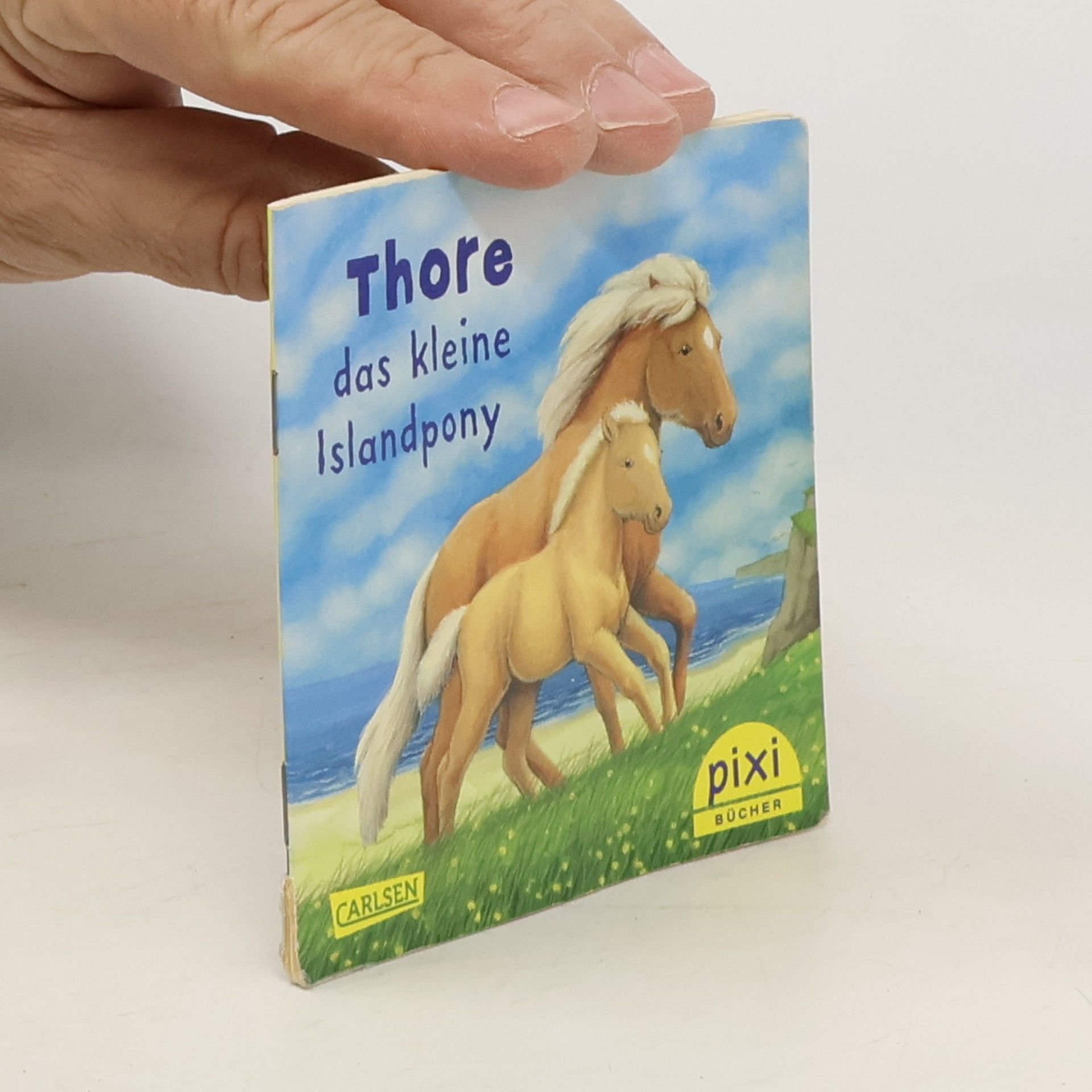 Various authors Entdecke den Reiterhof