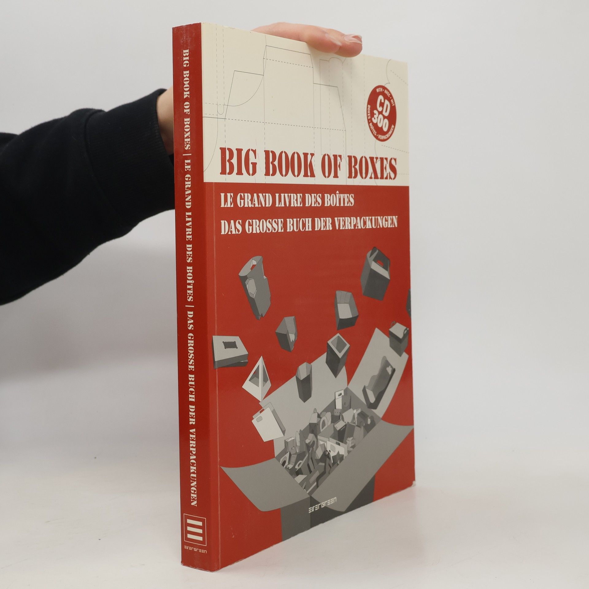 Thais Caballero Big book of boxes