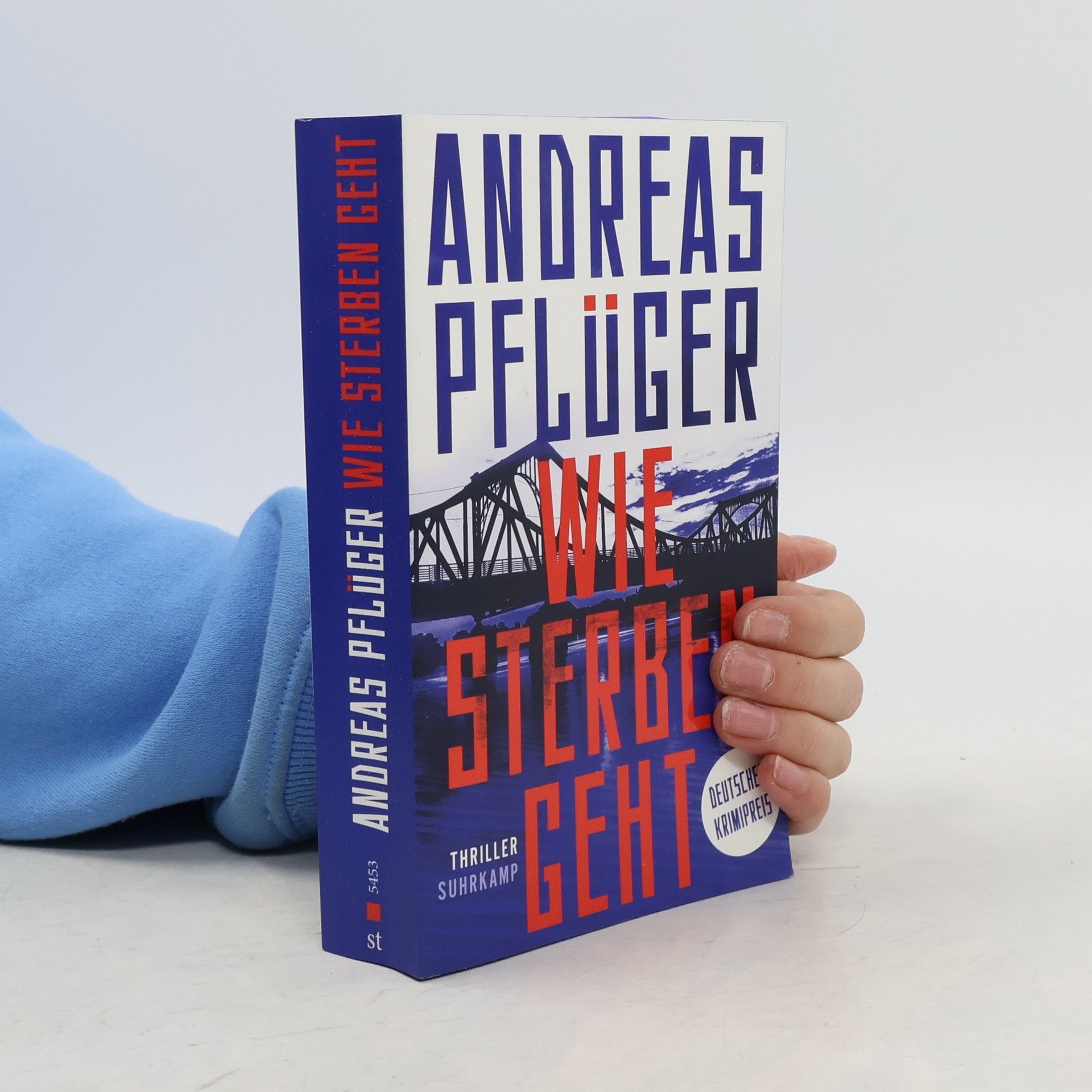 Andreas Pflüger Wie Sterben geht