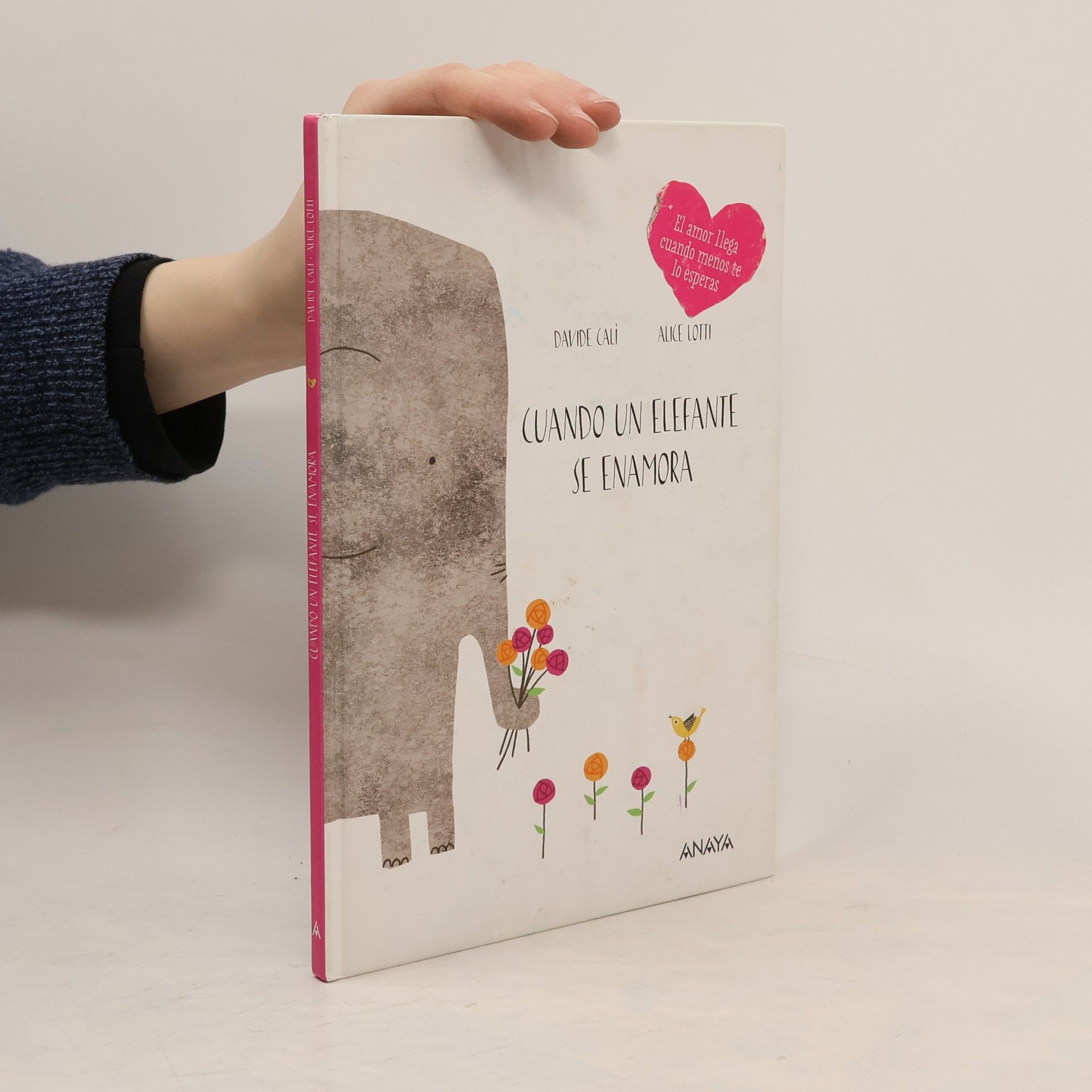 Davide Cali Cuando un elefante se enamora