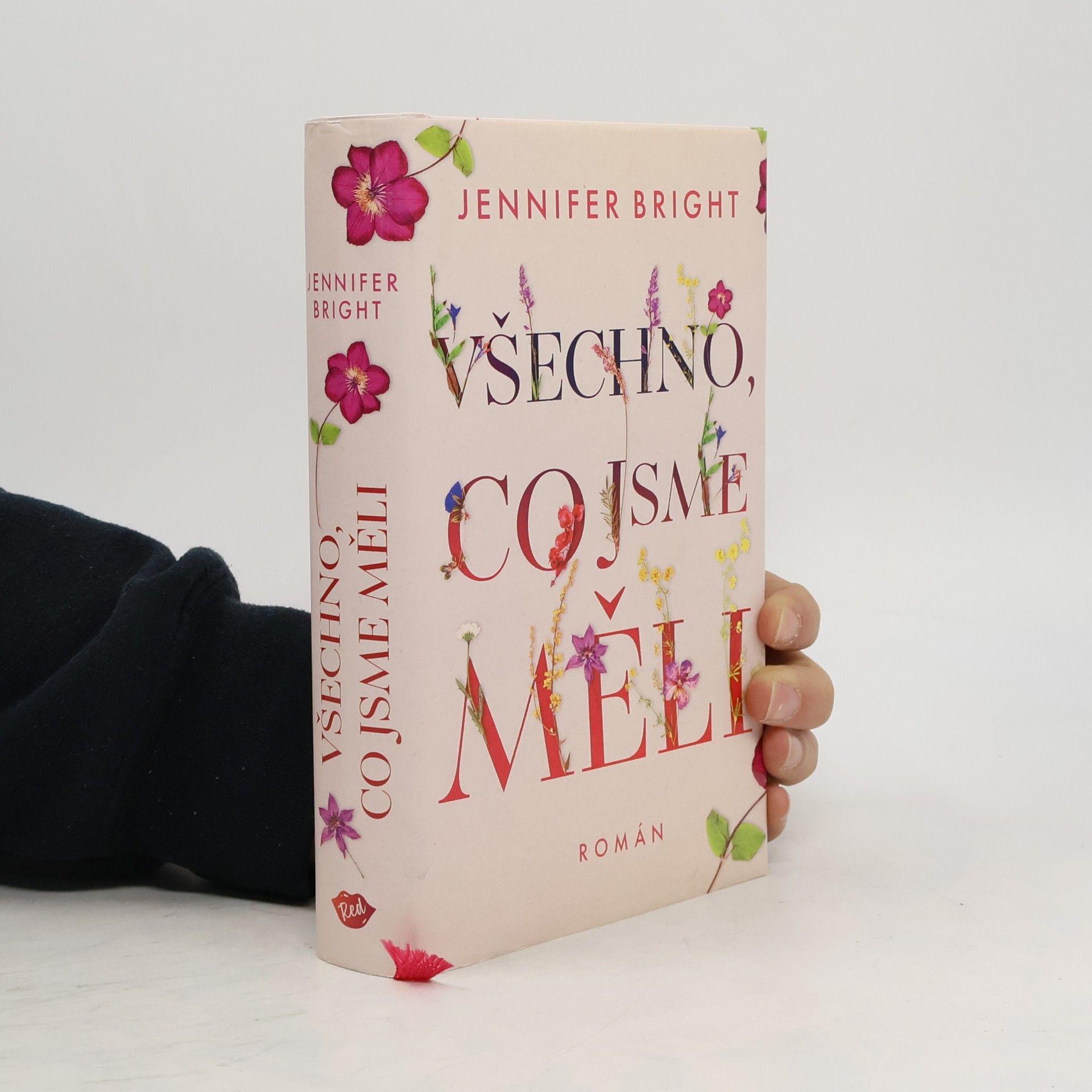 Jennifer Bright Všechno, co jsme měli