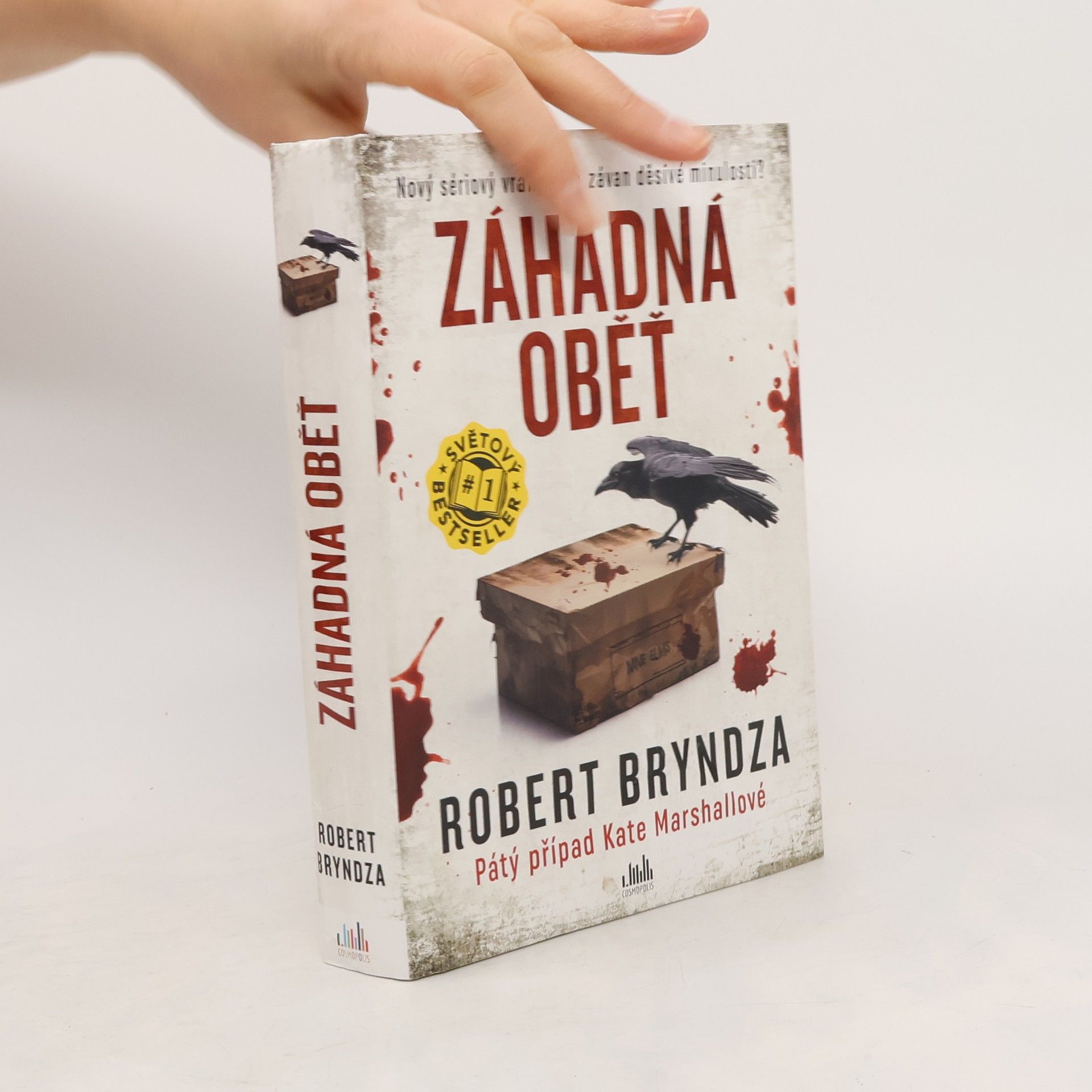 Robert Bryndza Záhadná oběť