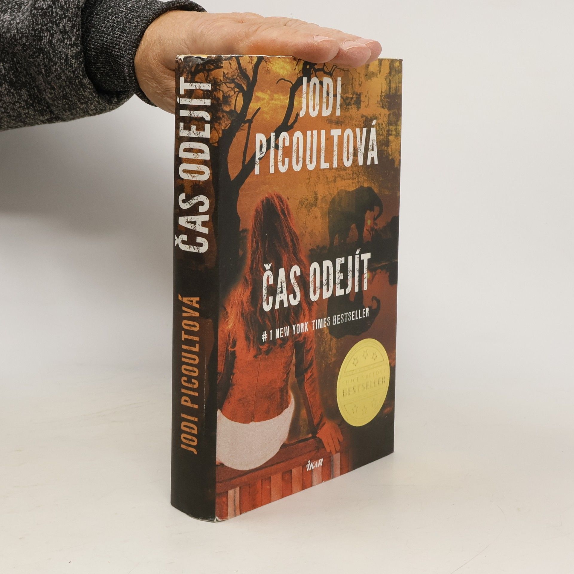 Jodi Picoult Čas odejít